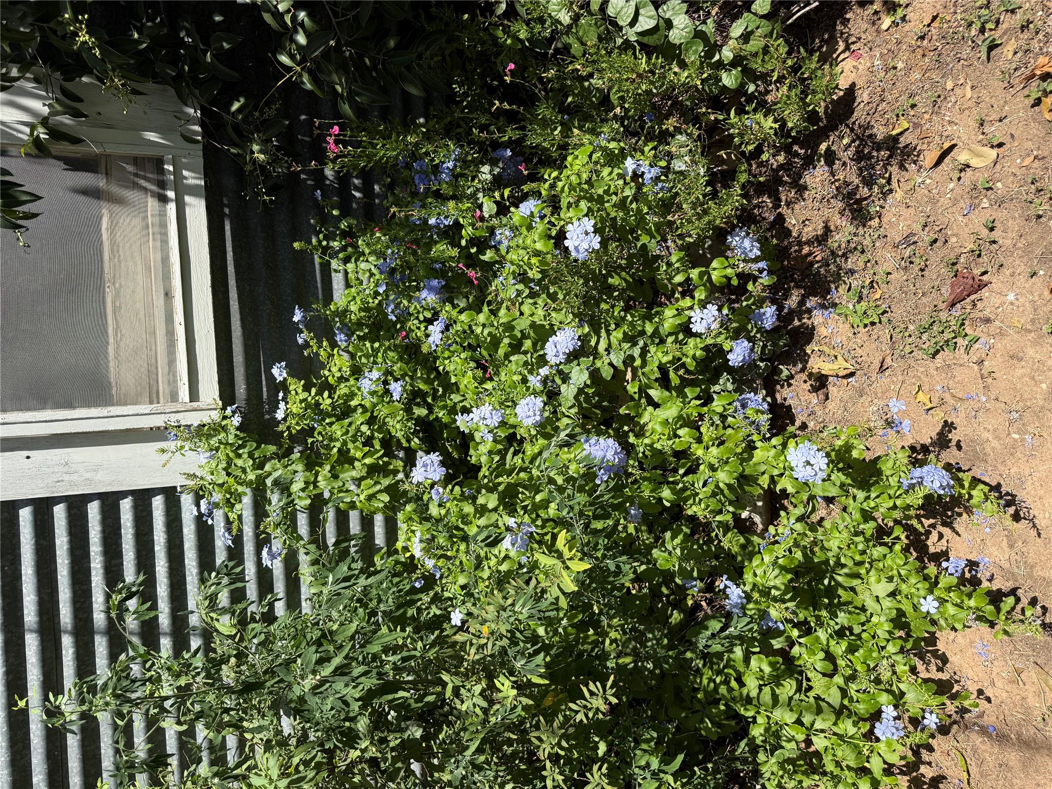 1132 Thiele LN, Fredericksburg, TX 78624