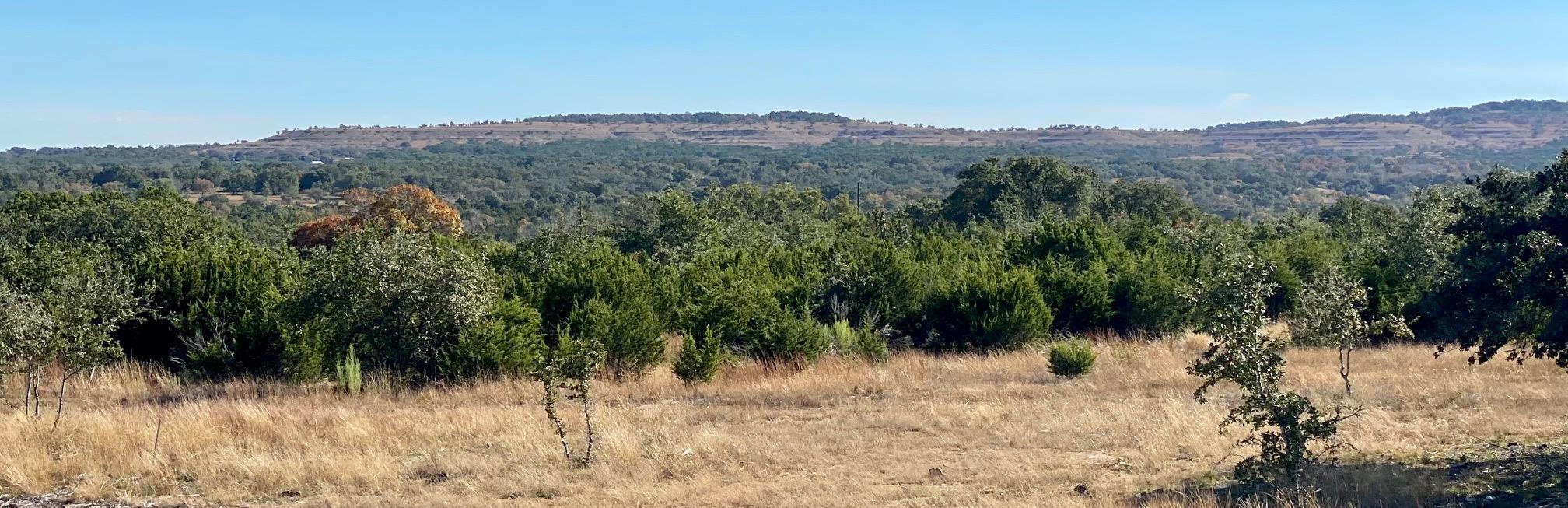 Lot 94 E Dripping View CT, Blanco, TX 78606