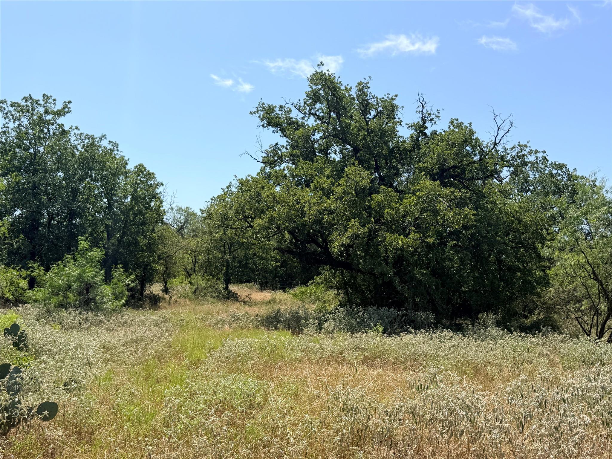 TBD Pumper Tract 1 RD, Luling, TX 78648
