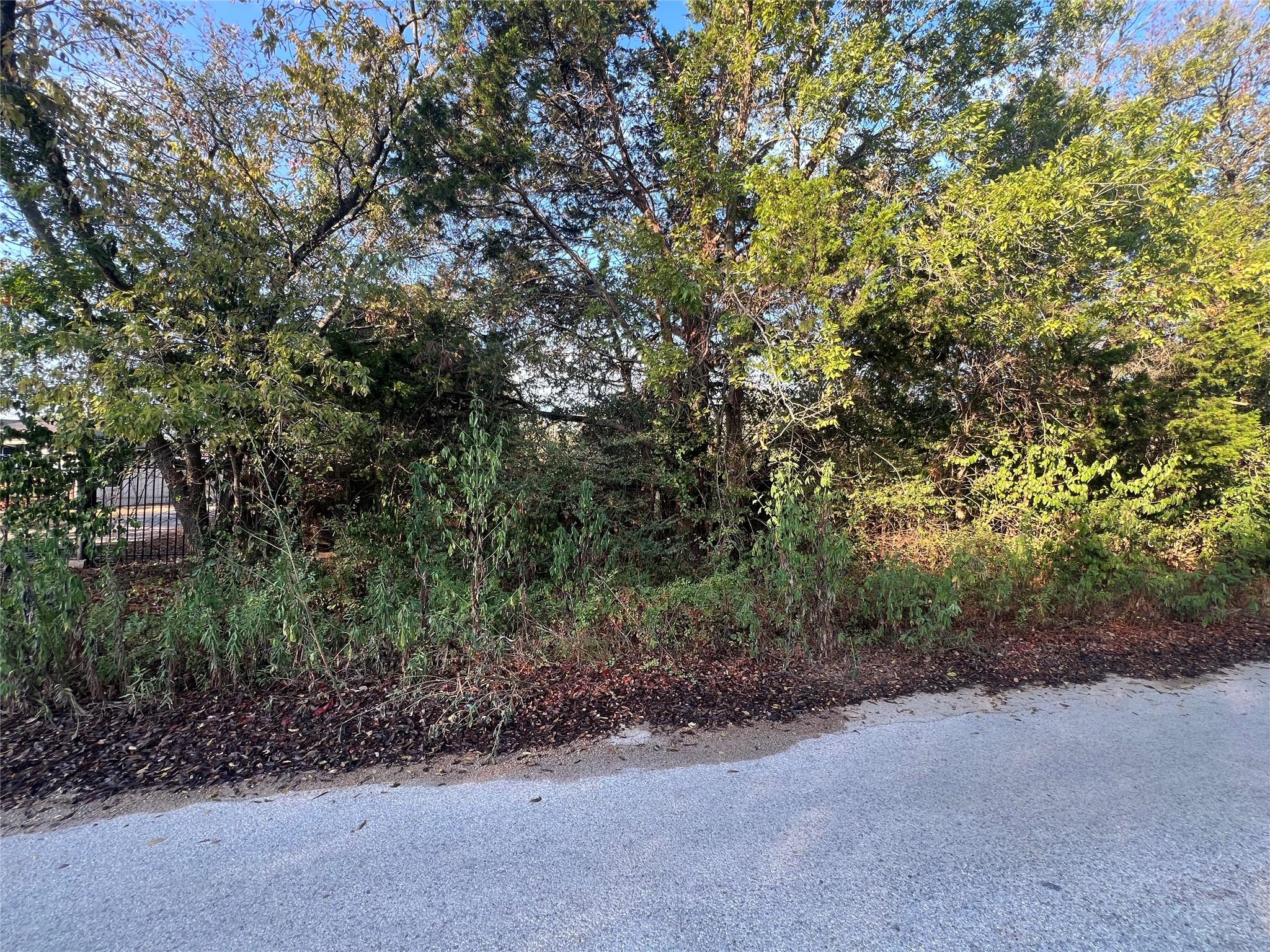 713 E 2nd ST, Elgin, TX 78621