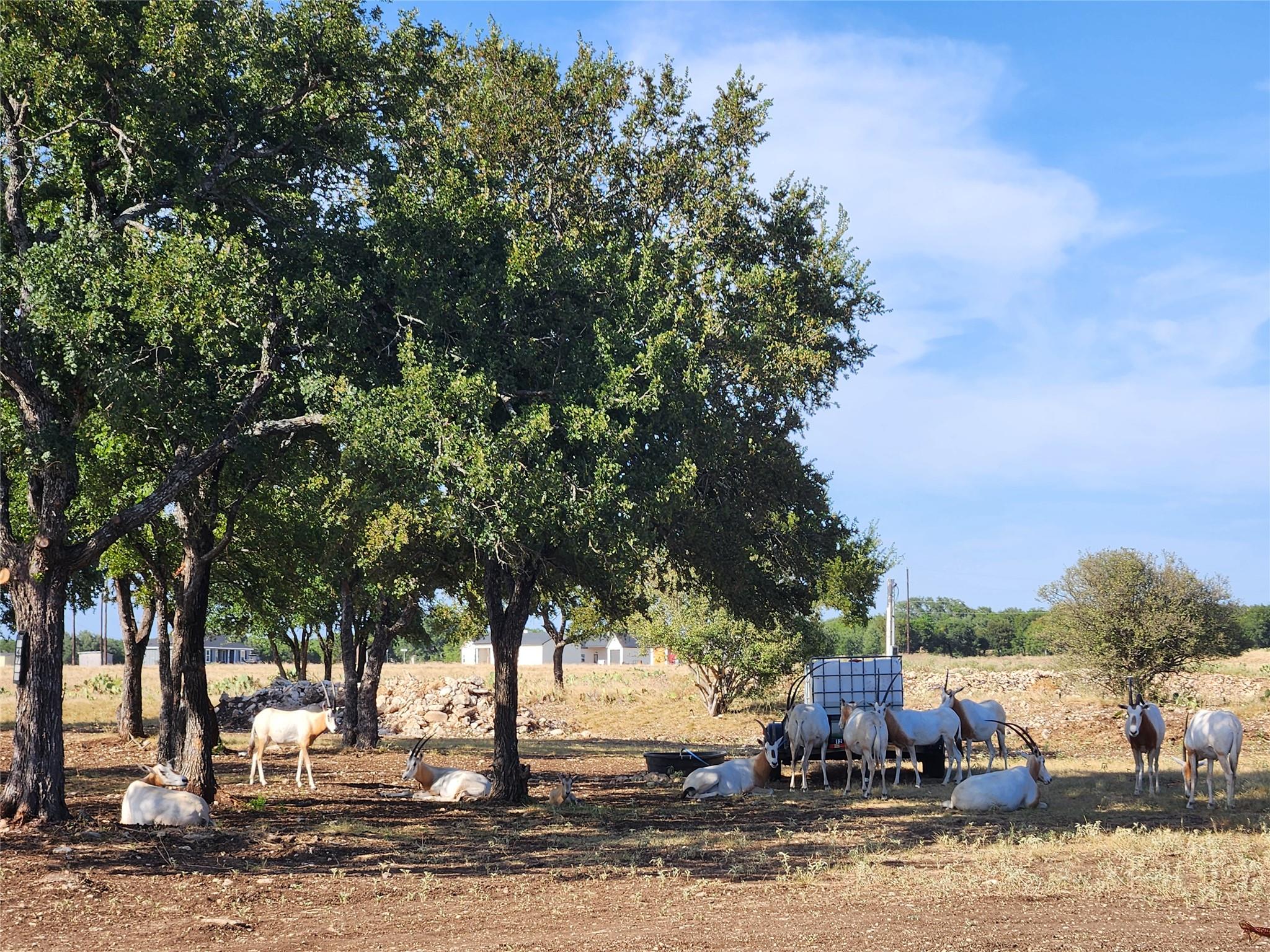 TBD Indian Camp TRL, Kempner, TX 76539