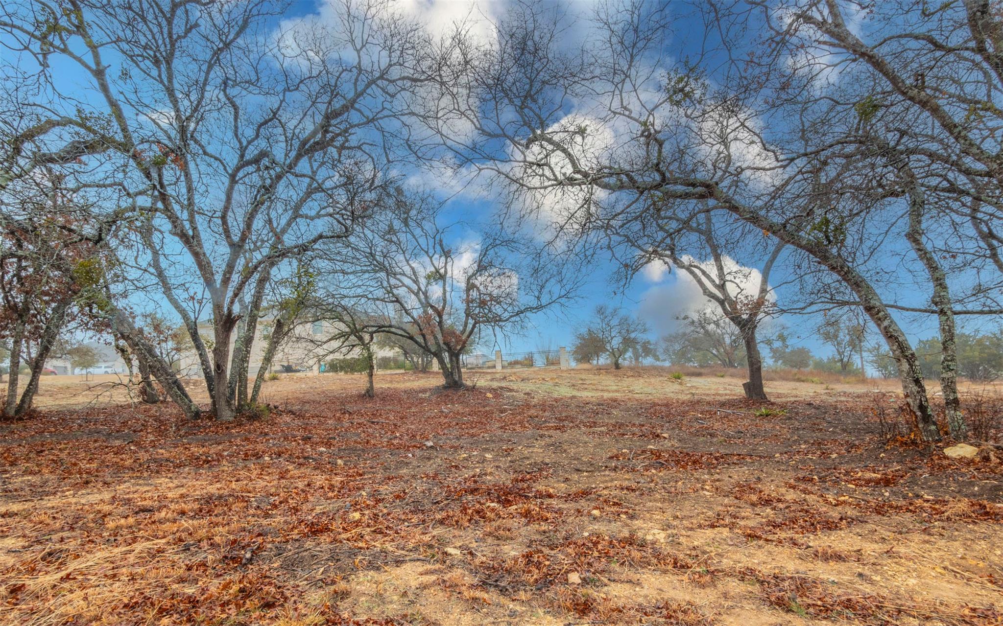 452 Ocate Mesa TRL, Liberty Hill, TX 78642