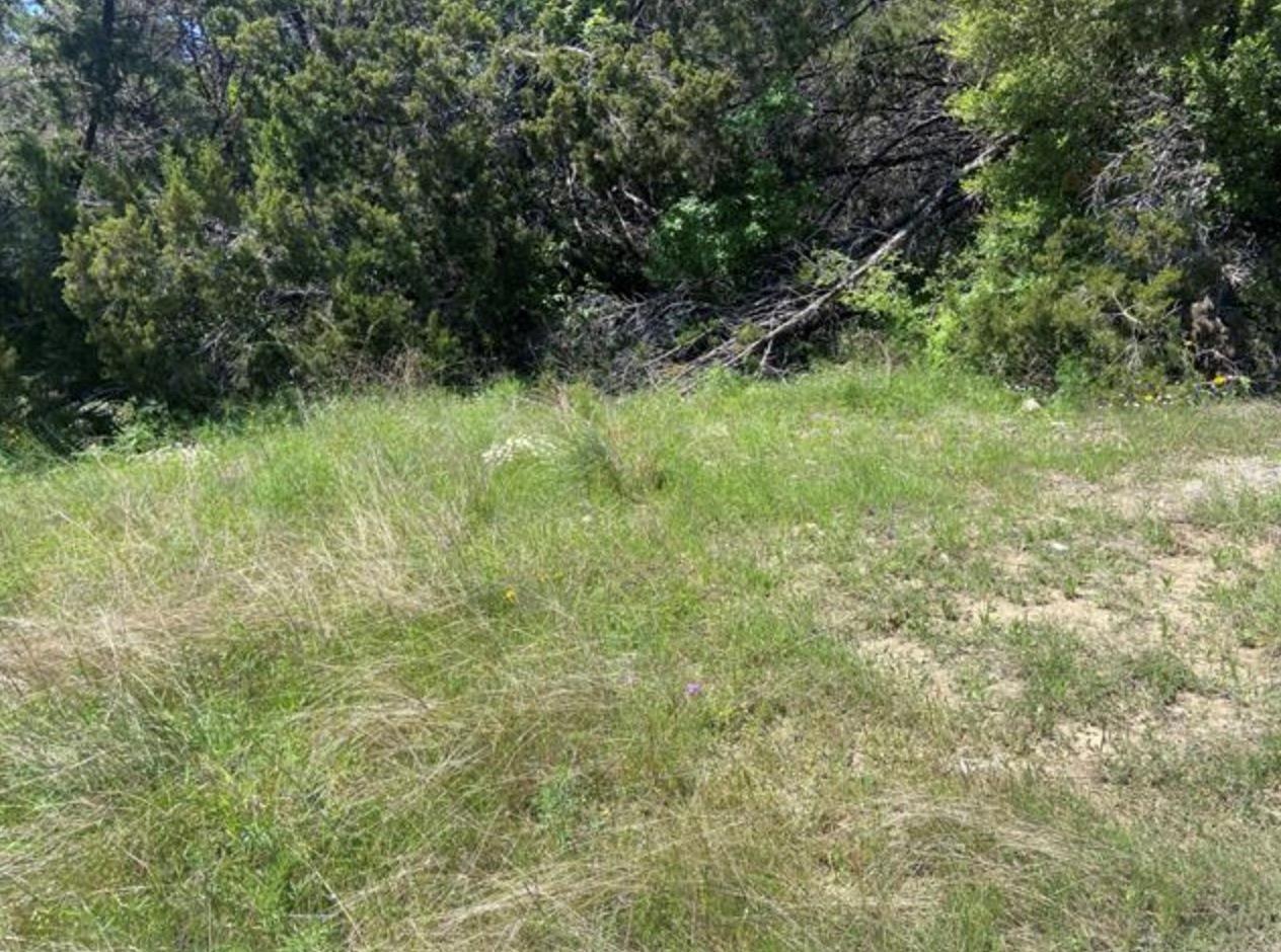 20601 Oxbow TRL, Lago Vista, TX 78645
