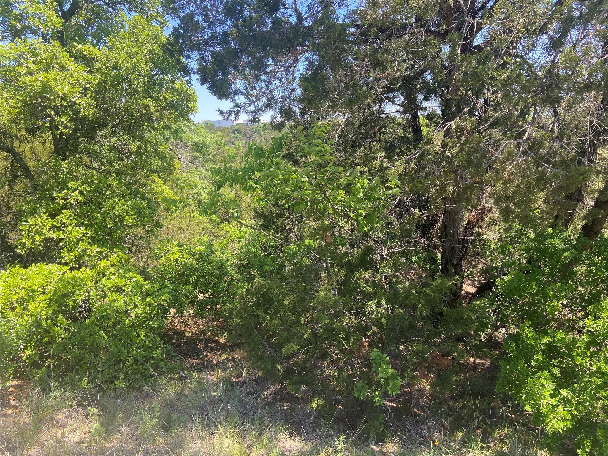 8617 Bar K Ranch RD, Lago Vista, TX 78645