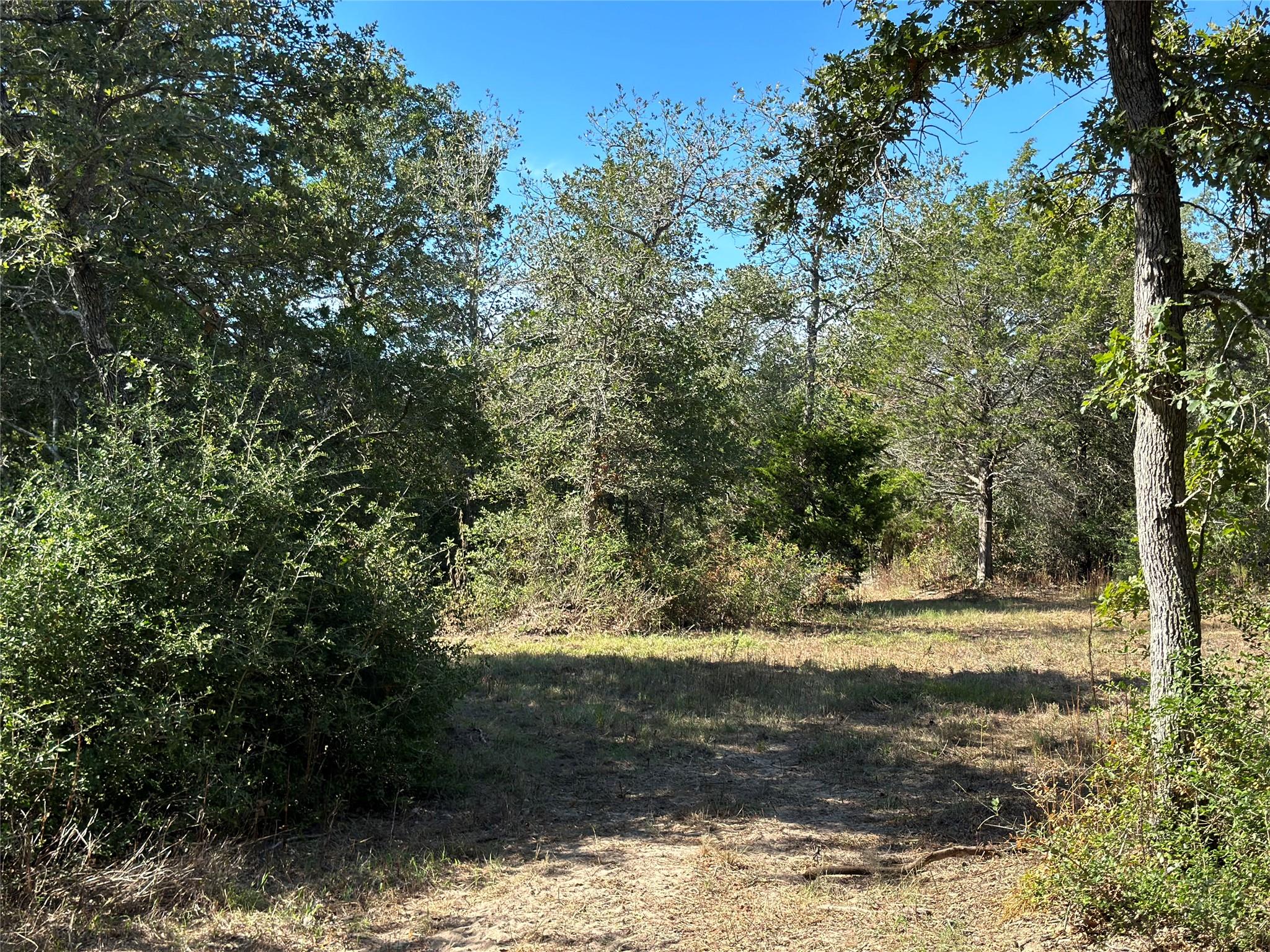105 Colony Line TRL, Dale, TX 78616