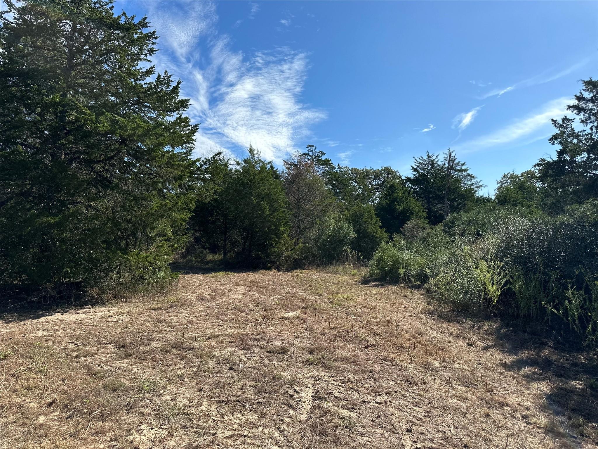 105 Colony Line TRL, Dale, TX 78616