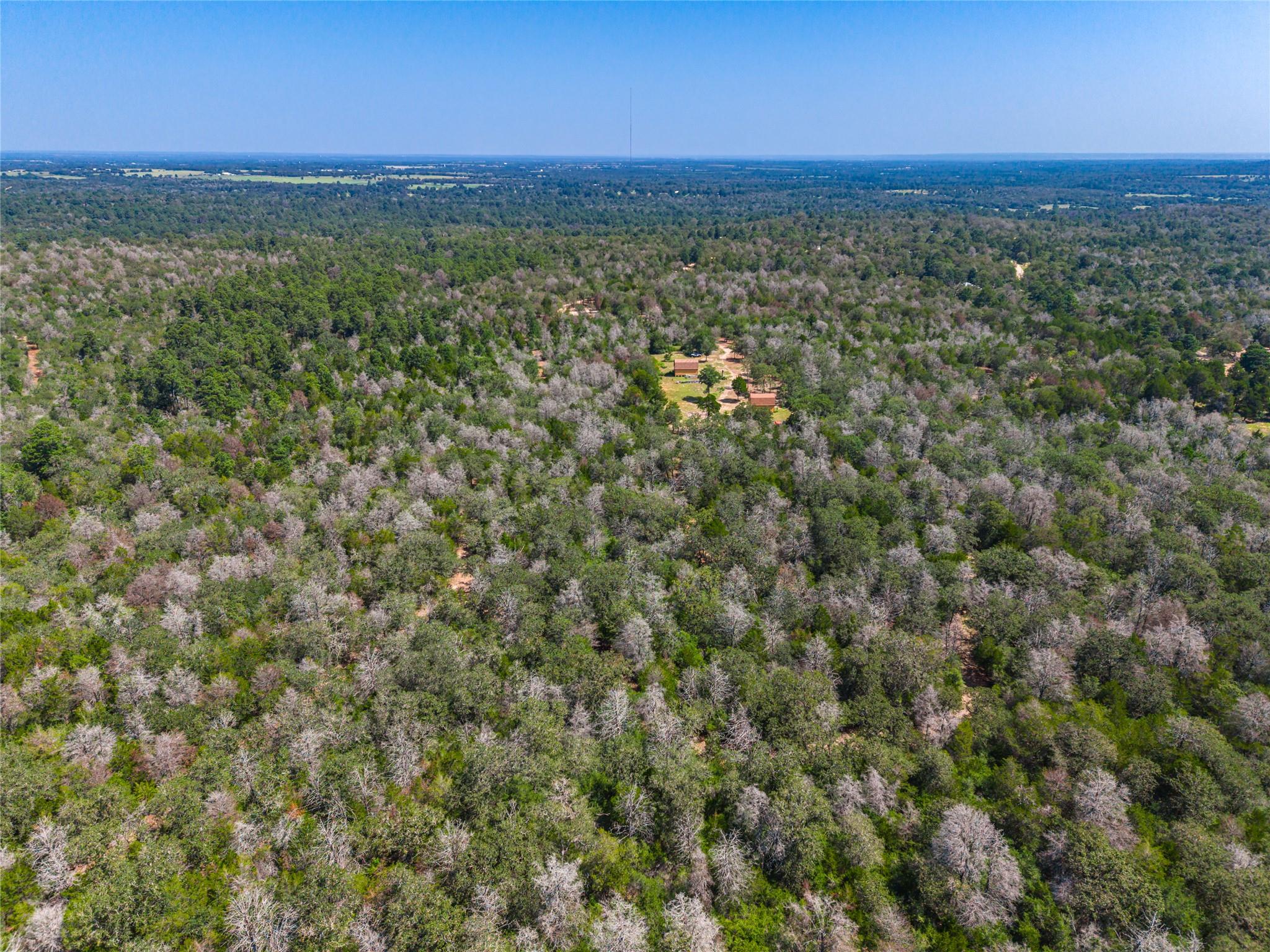 1247 Sand Hills Rd, Rosanky, TX 78953