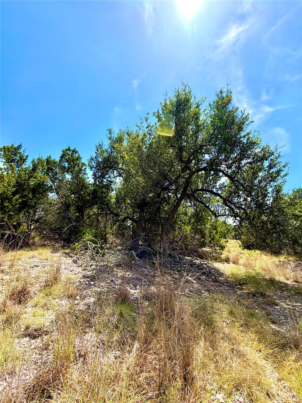 886 Mimosa CT, Fischer, TX 78623