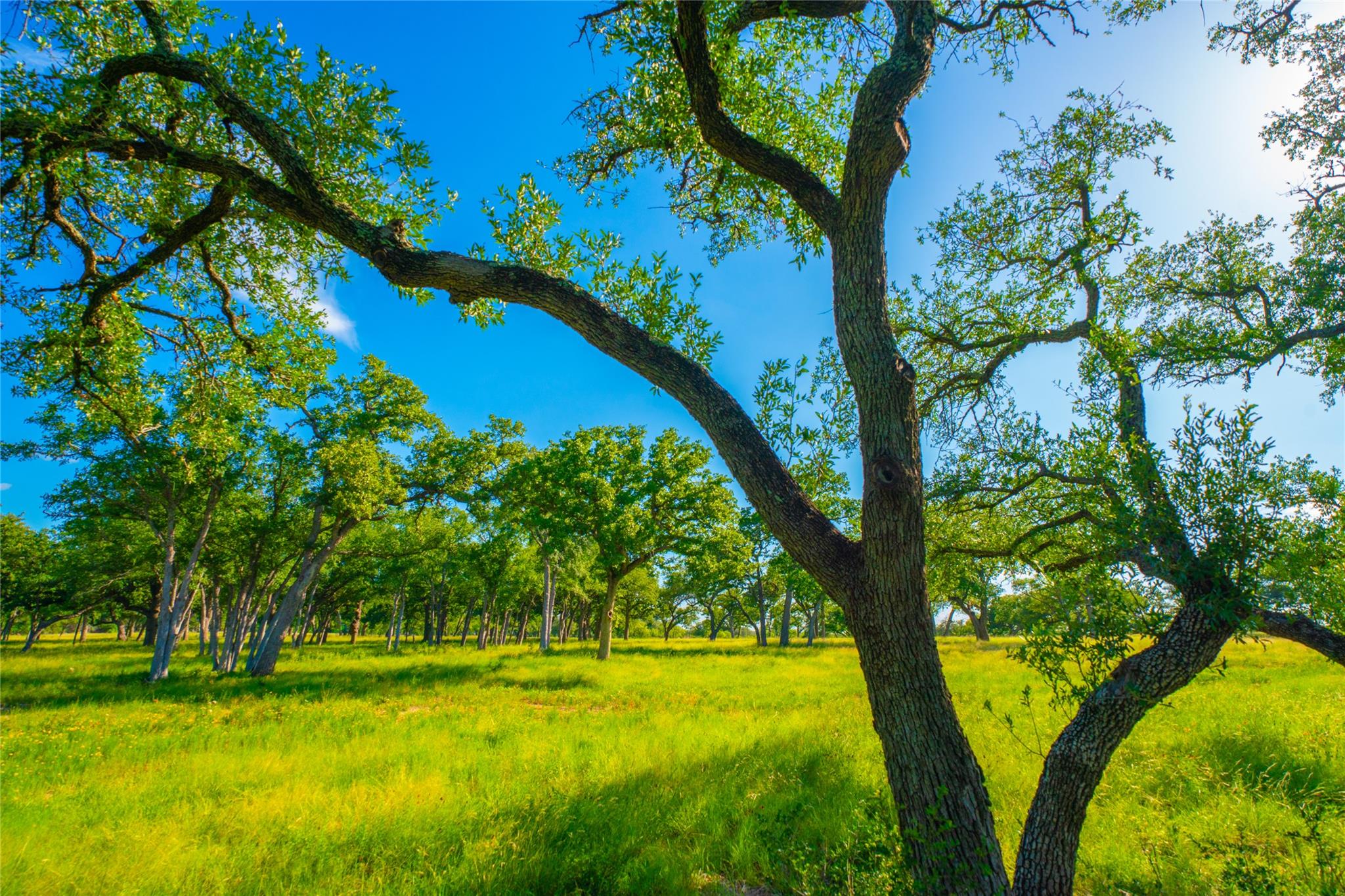 0 Rocky Creek RNCH, Johnson City, TX 78636