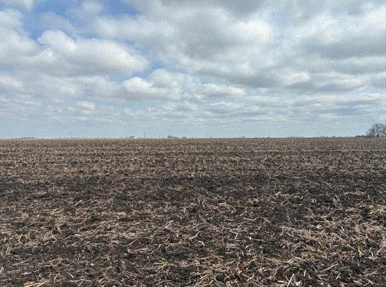 CR 3061 Lot 2 Hw, Thorndale, TX 76577