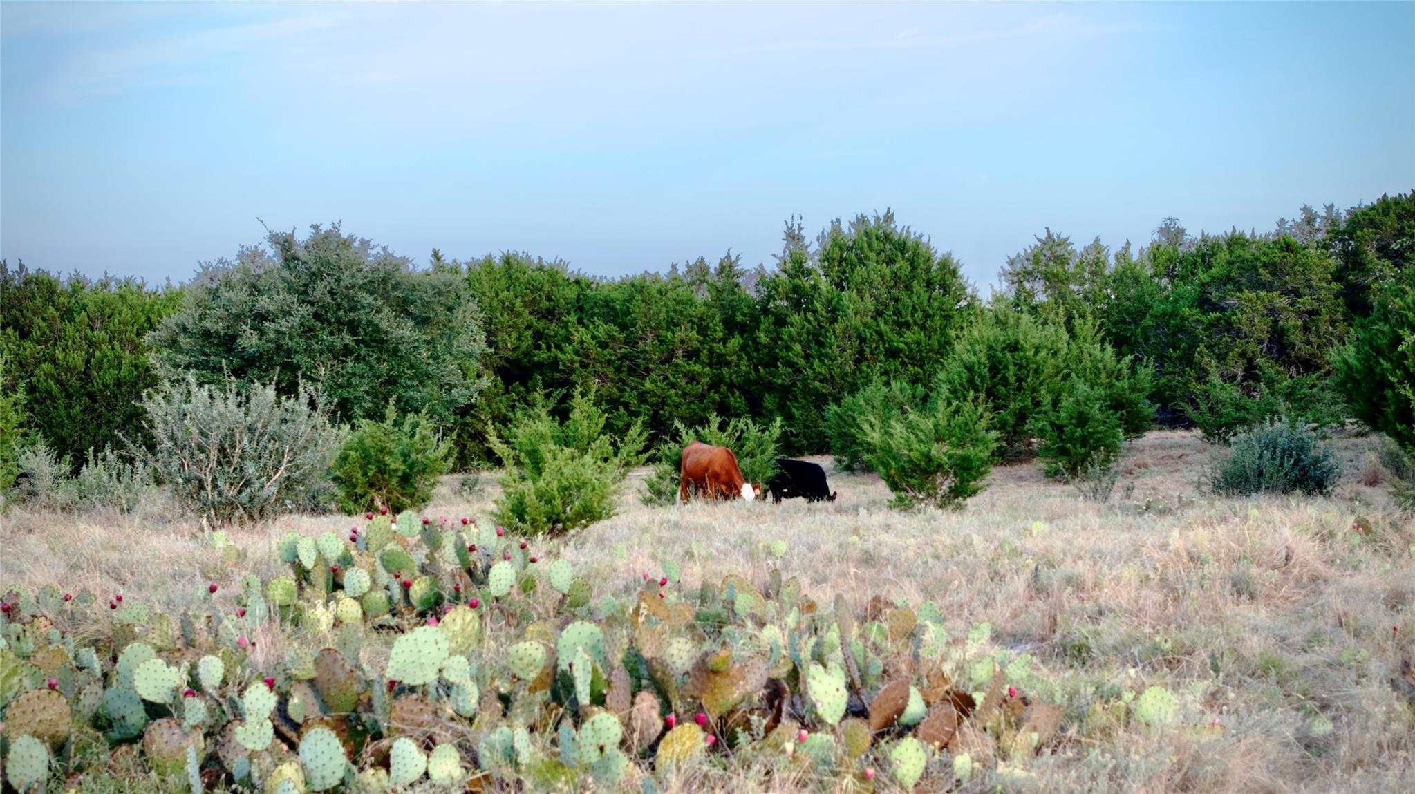 Lot 2A Private Road 1240, Lampasas, TX 76550