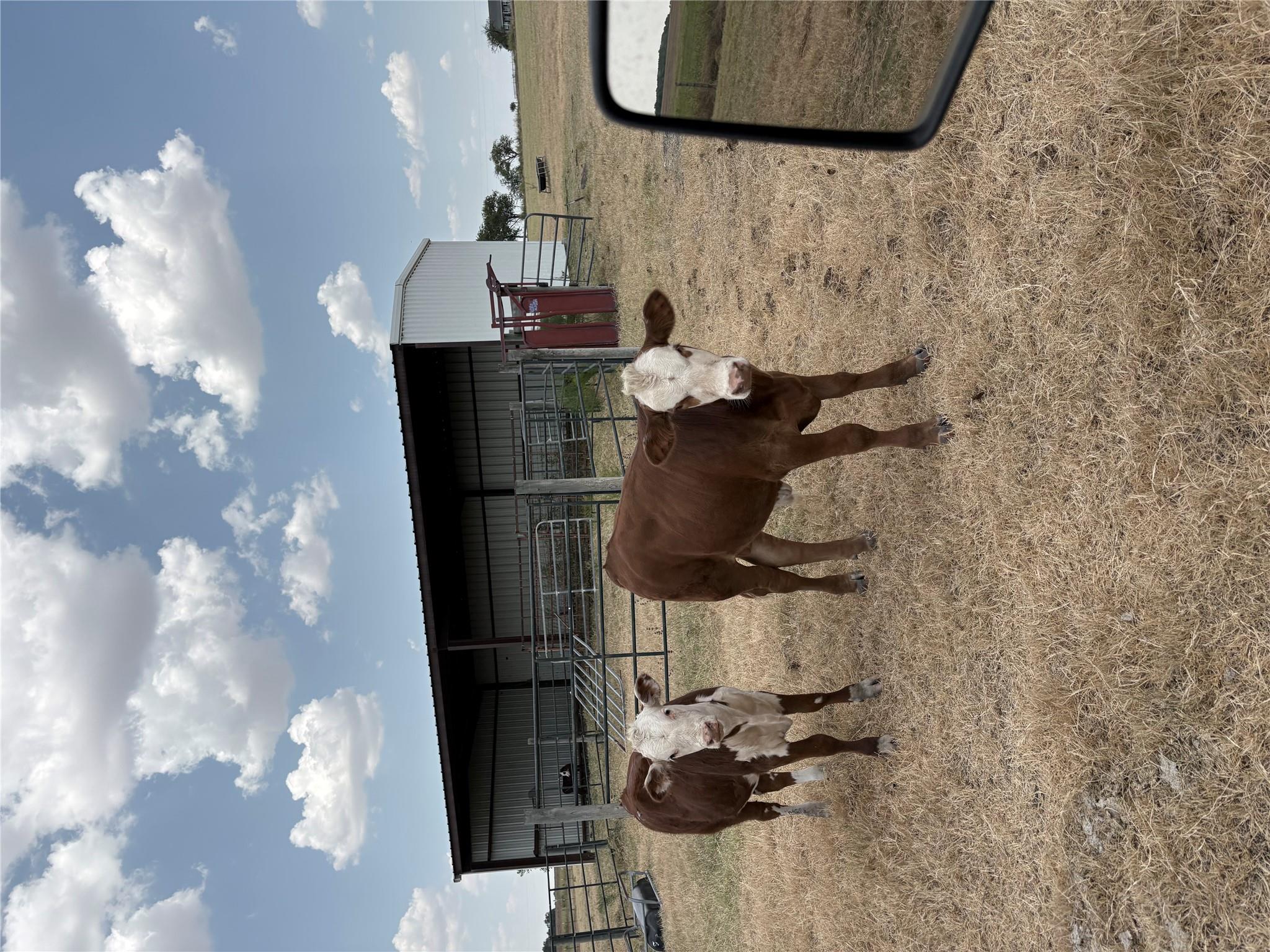 600 County Road 444 LAND, Thorndale, TX 76577