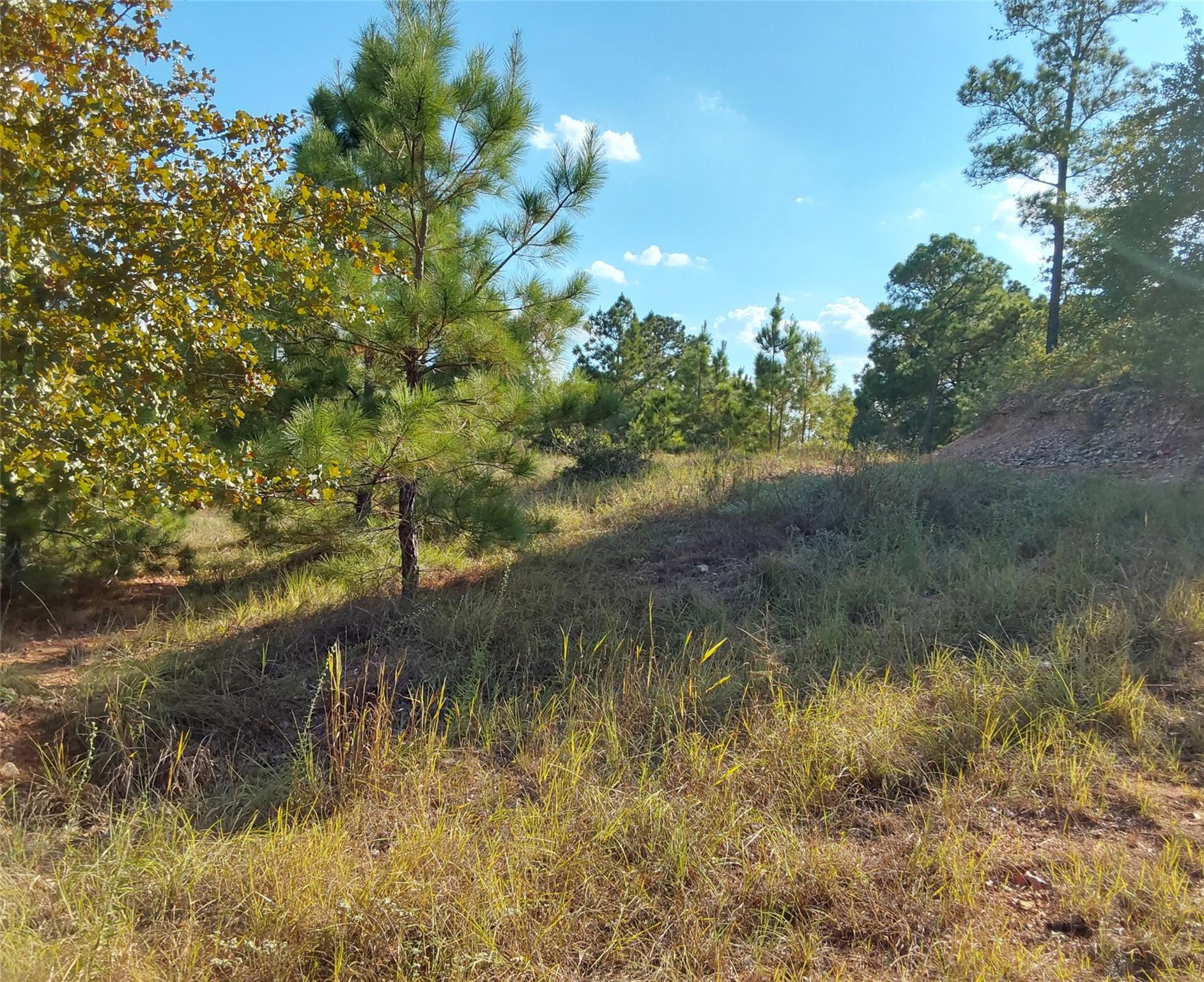 909 Hana Court ST, Bastrop, TX 78602