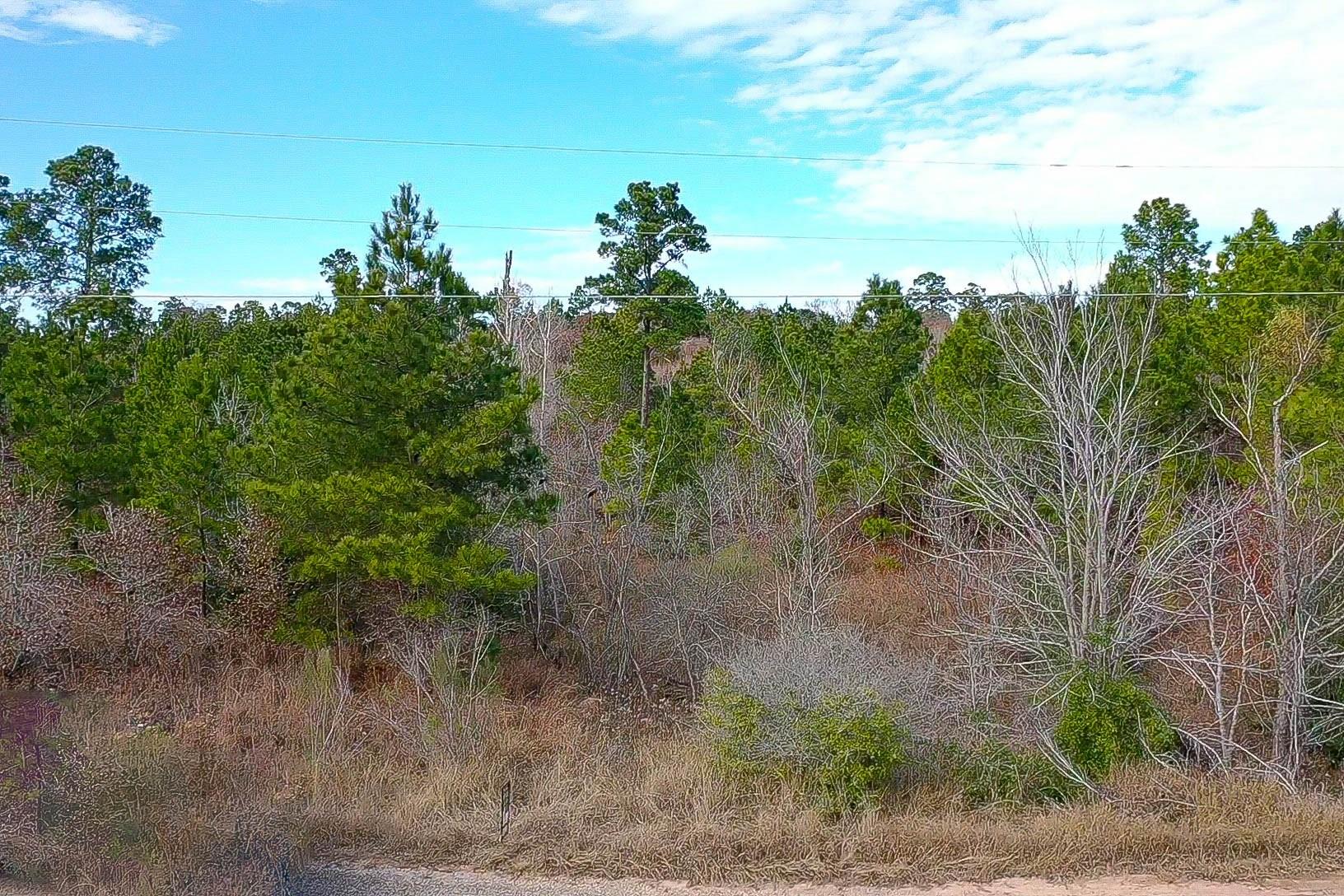 TBD Mahalo CT, Bastrop, TX 78602
