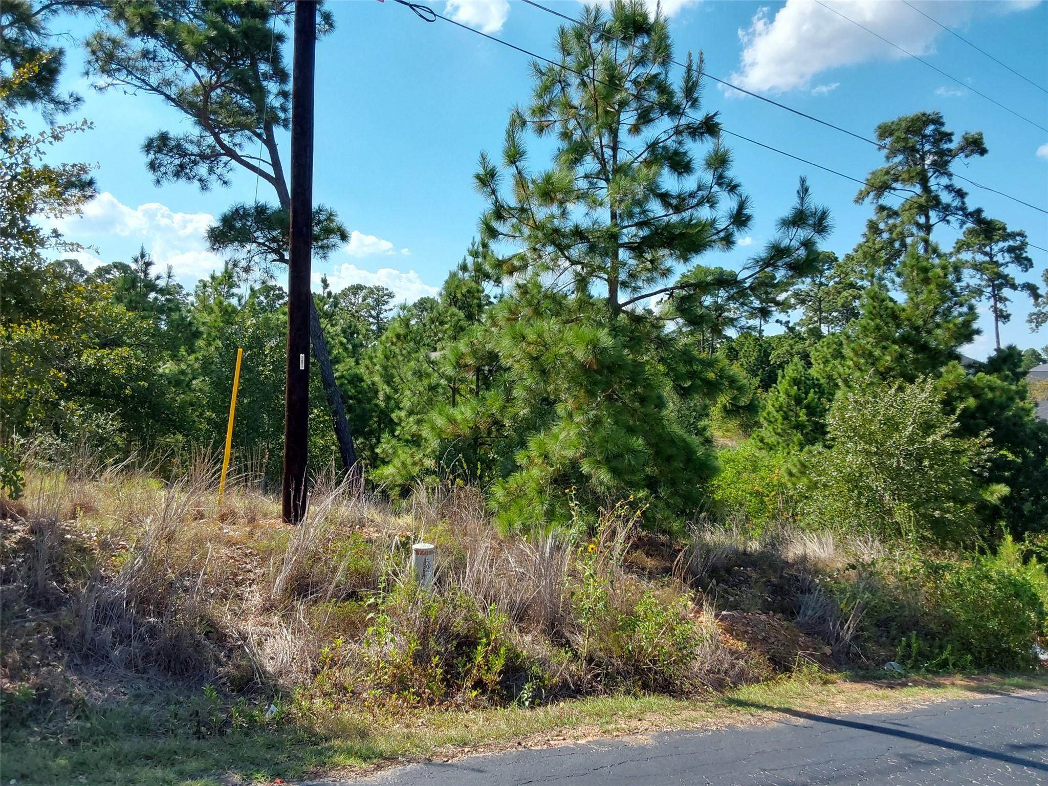 128 Mokalau DR, Bastrop, TX 78602