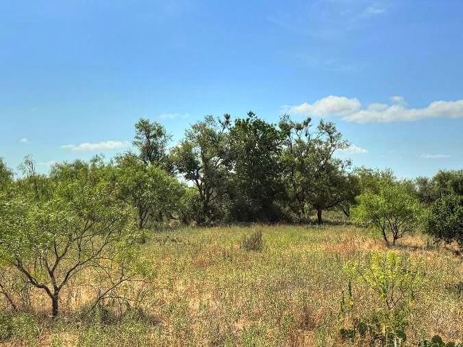Lot 3 Us Hwy 190 Hw, Lometa, TX 78853