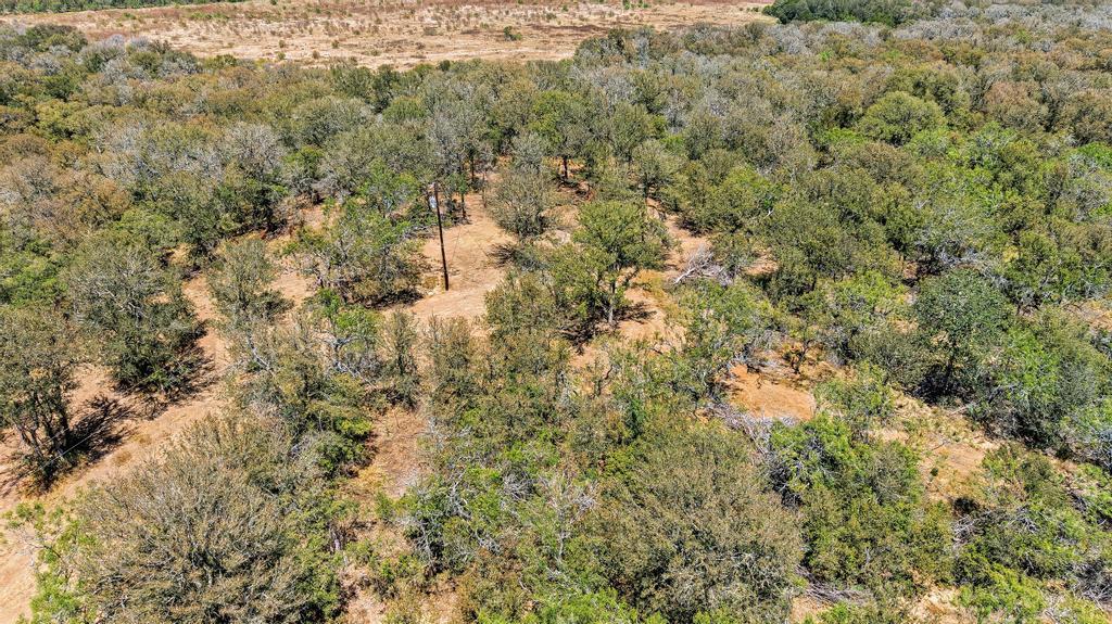 388 The Forest RD, Dale, TX 78616