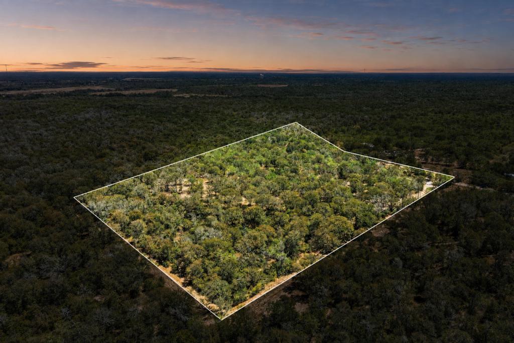 388 The Forest RD, Dale, TX 78616