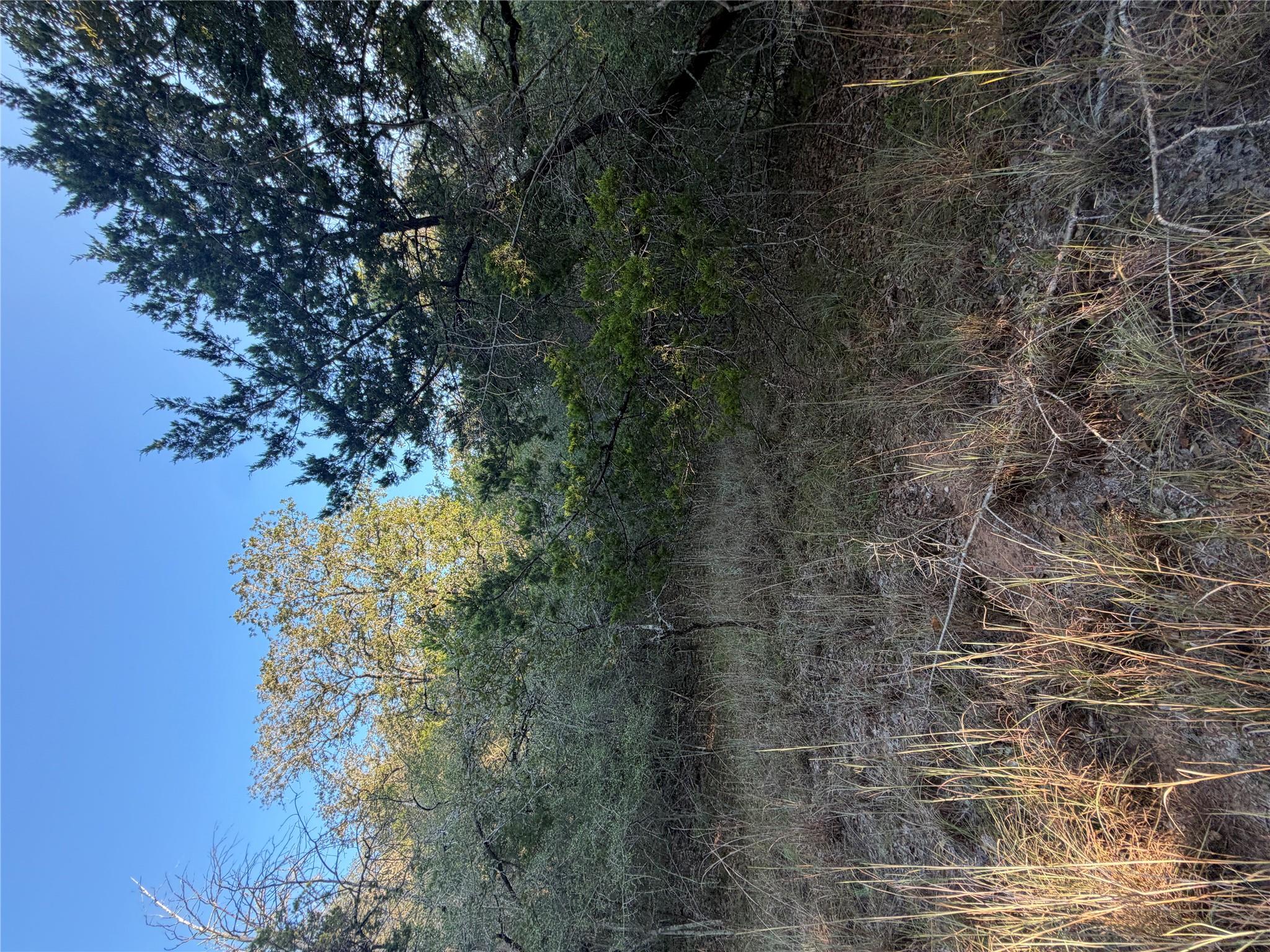 Lot 194 Kaelepulu DR, Bastrop, TX 78602