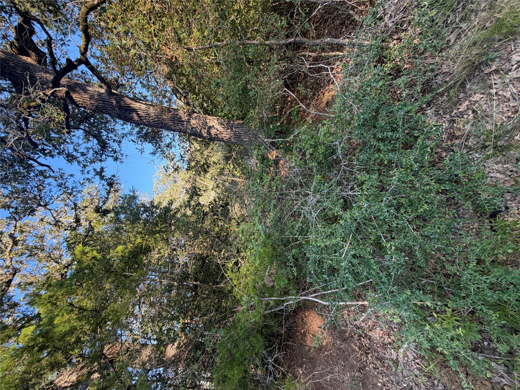 Lot 194 Kaelepulu DR, Bastrop, TX 78602