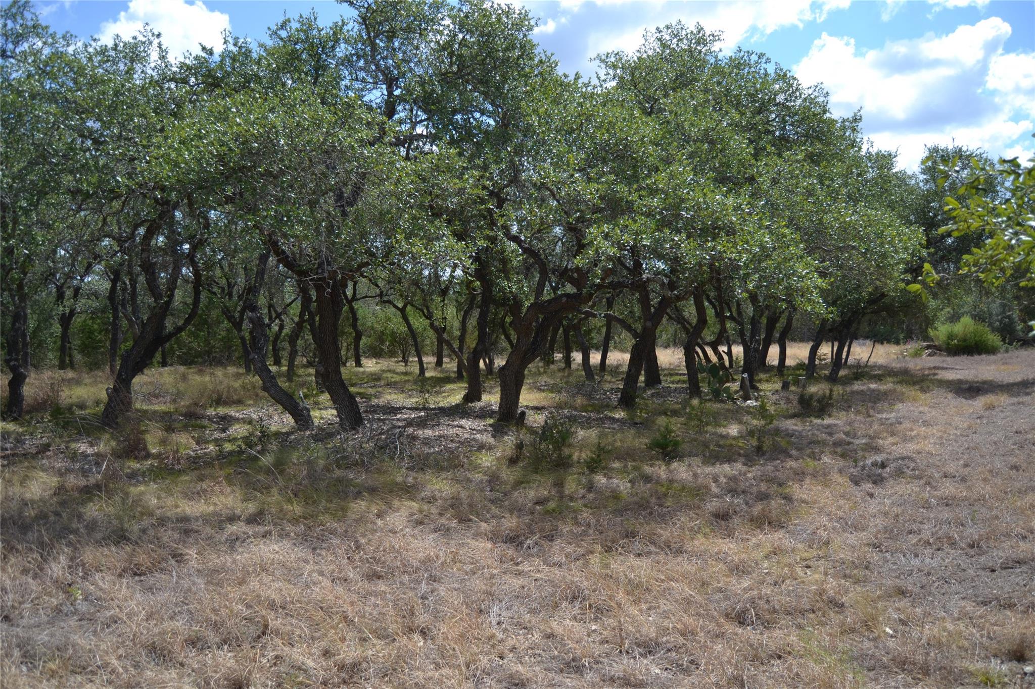 270 Gant RD, Dripping Springs, TX 78620