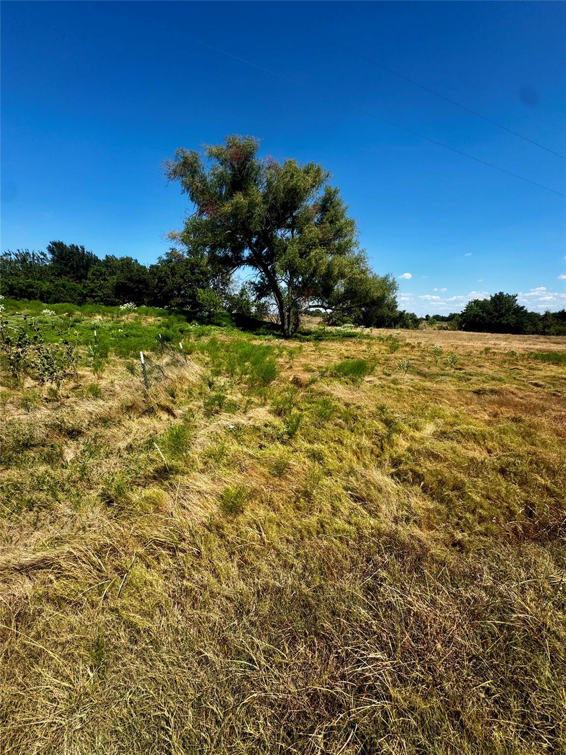 TBD lot 16 Cr 327, Granger, TX 76530