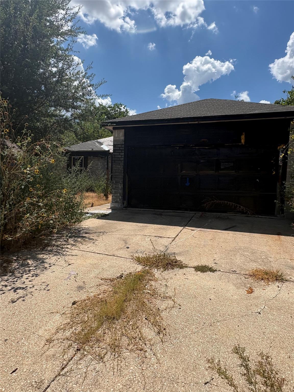 205 Barberry DR, Georgetown, TX 78626
