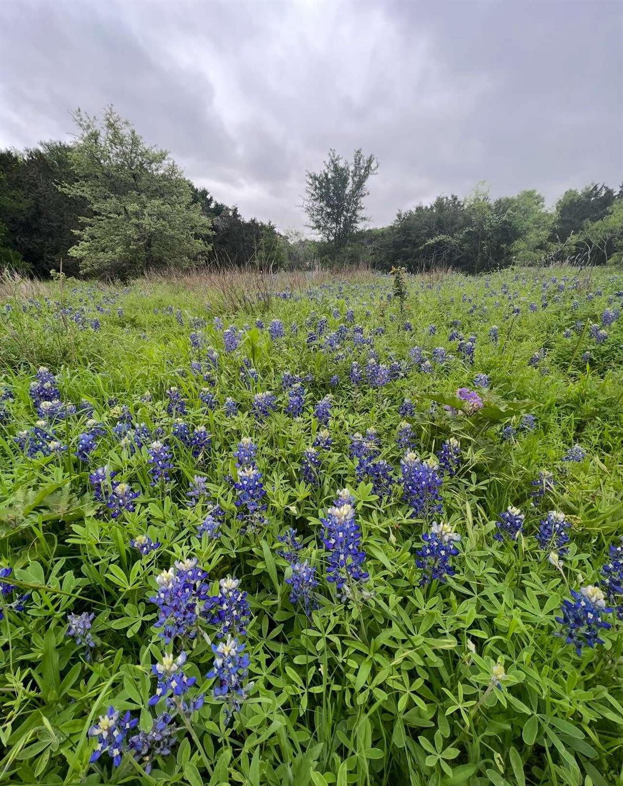 10214 Bilbrook PL, Austin, TX 78748