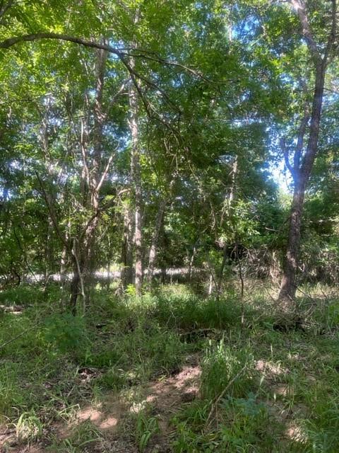 366 Riverside DR, Bastrop, TX 78602