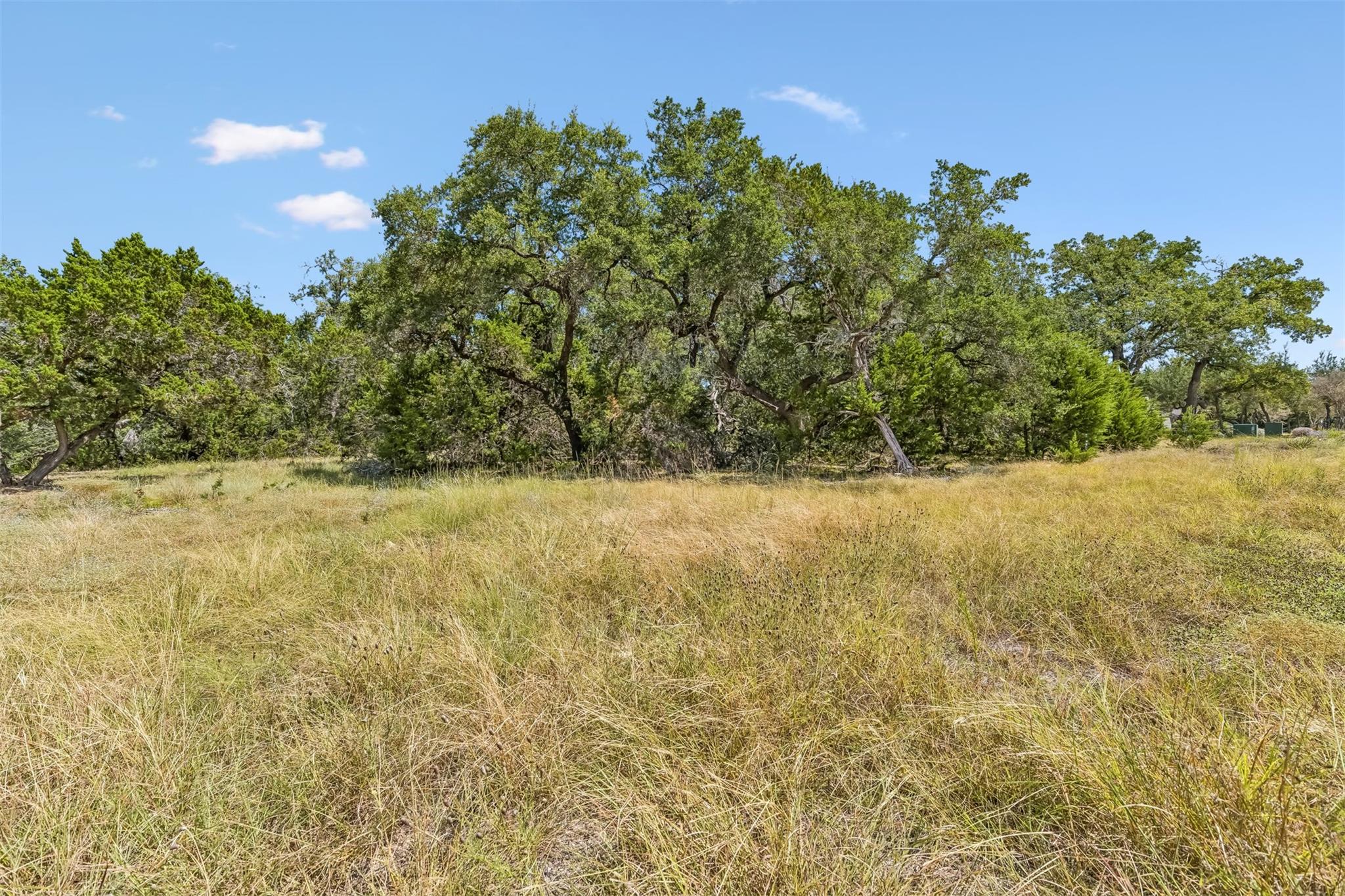 854 Maximino Ridge RD, Bulverde, TX 78163