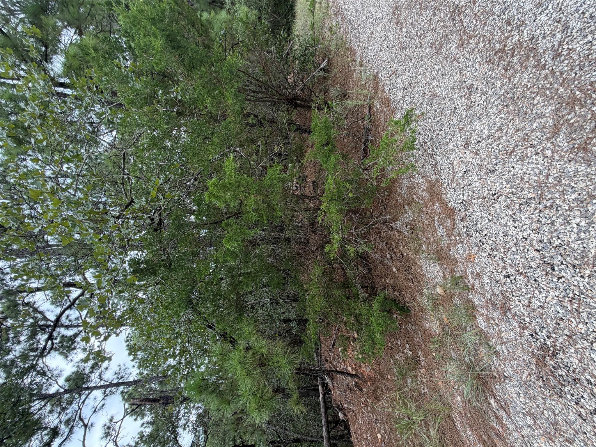 Lot 216 Hekili DR, Bastrop, TX 78602