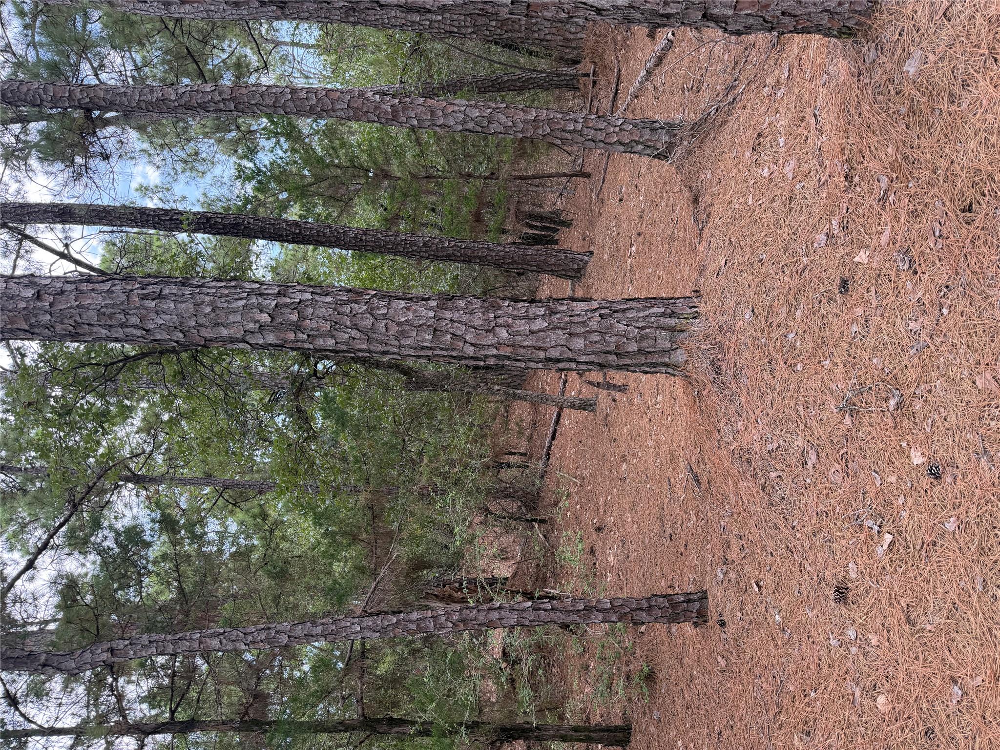 Lot 216 Hekili DR, Bastrop, TX 78602
