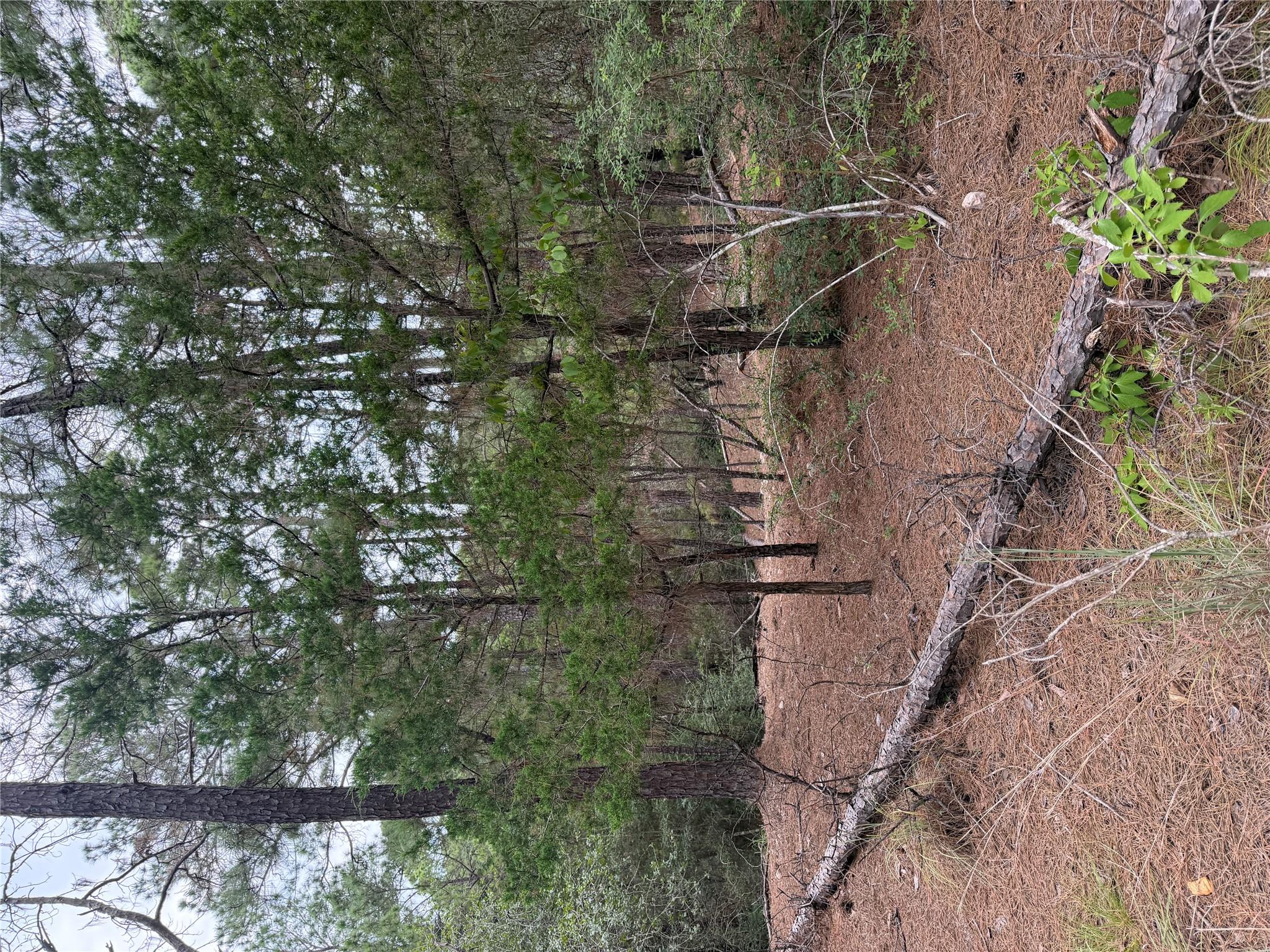 Lot 217 Hekili DR, Bastrop, TX 78602