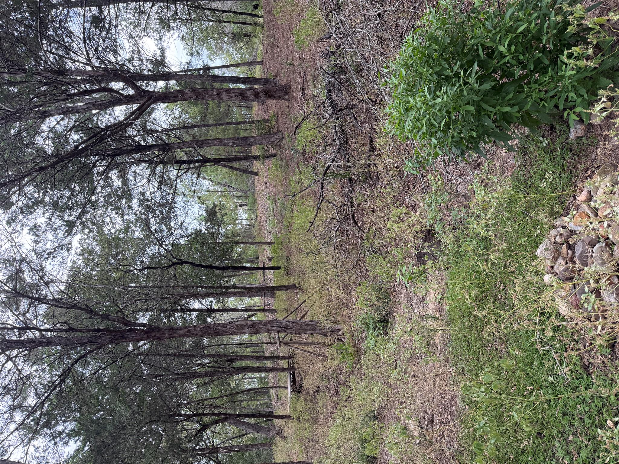 Multiple Lots Aka CT, Bastrop, TX 78602