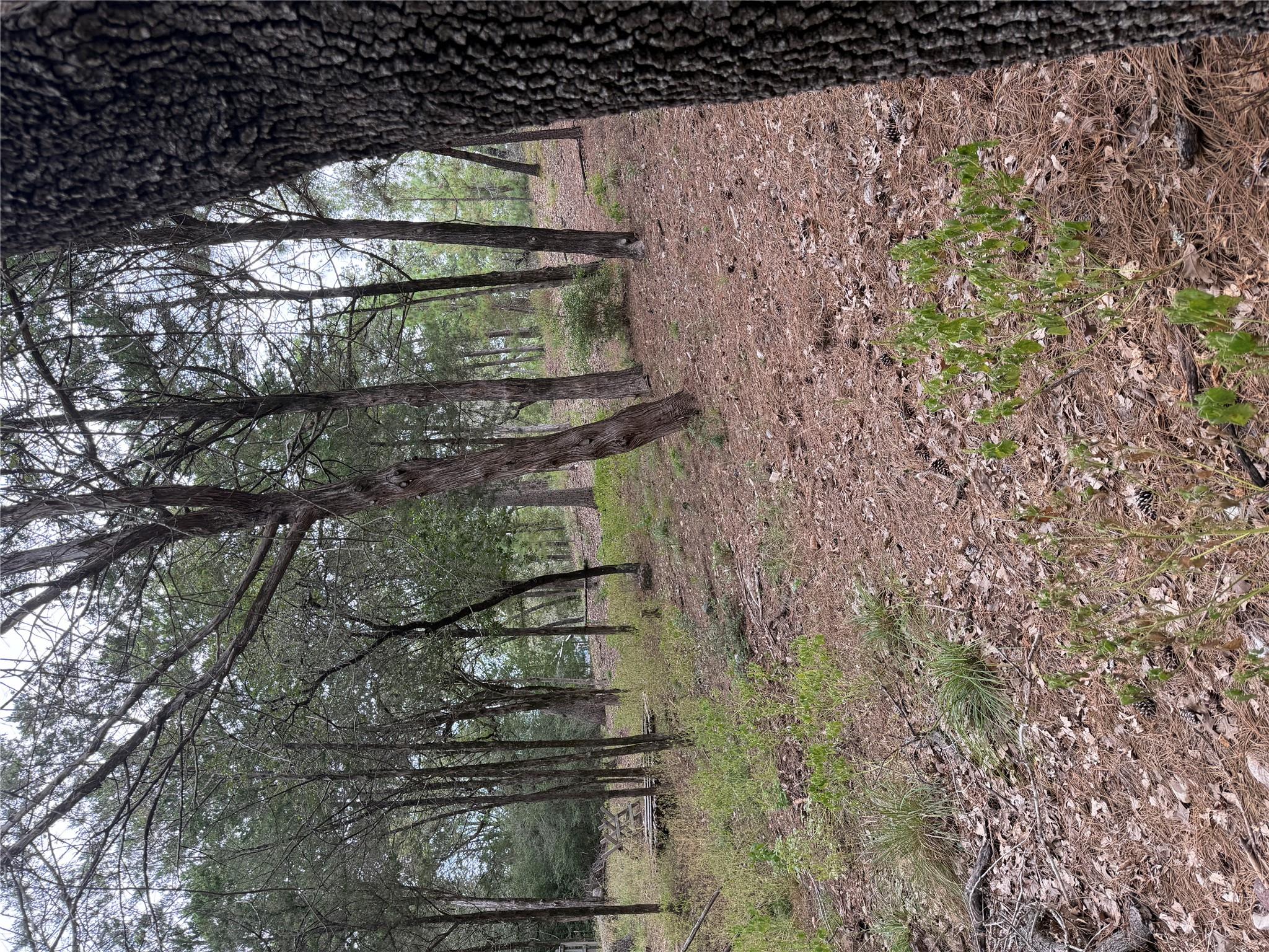 Multiple Lots Aka CT, Bastrop, TX 78602