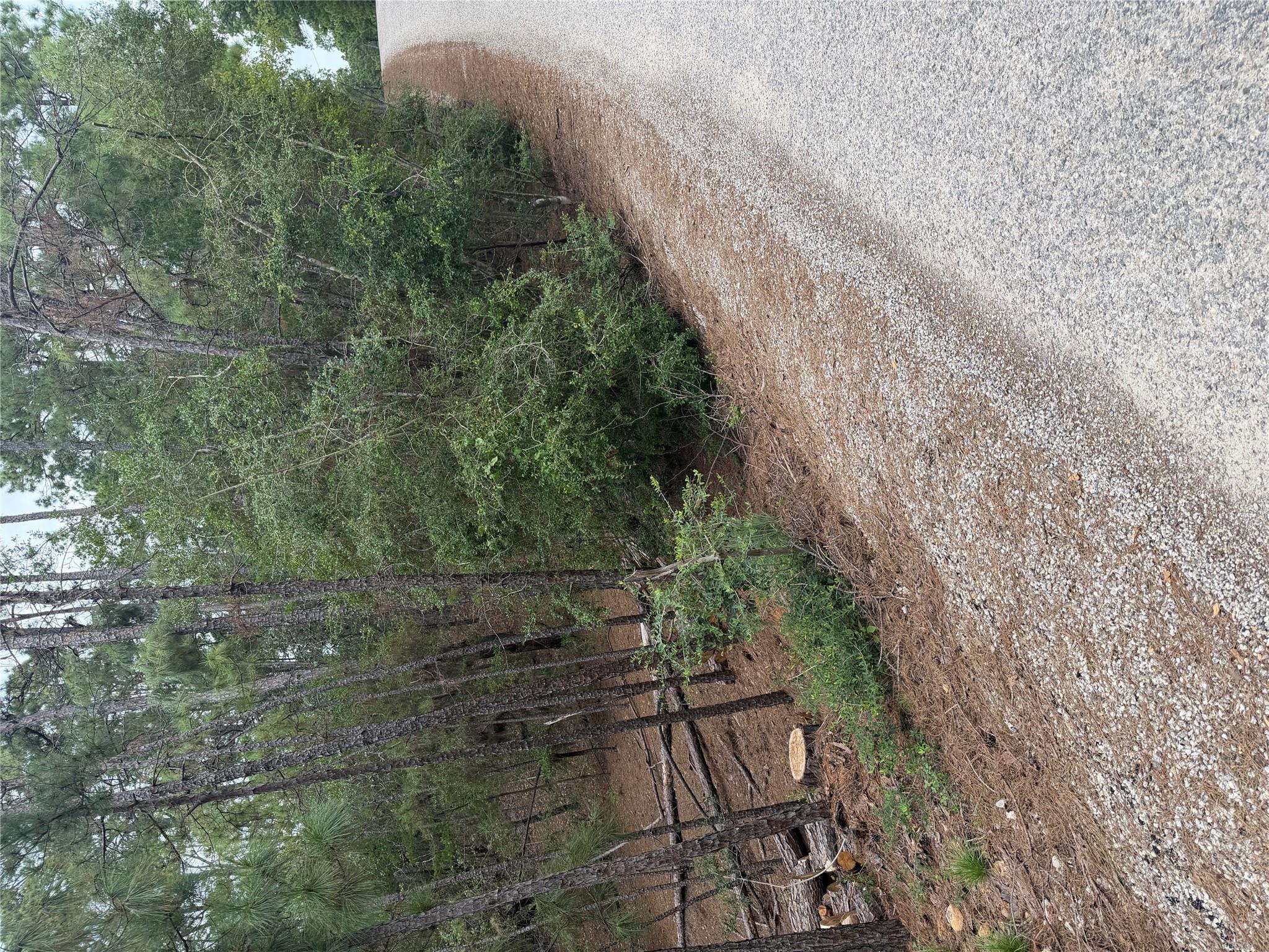 Lots 213 and 214 Hekili DR, Bastrop, TX 78602
