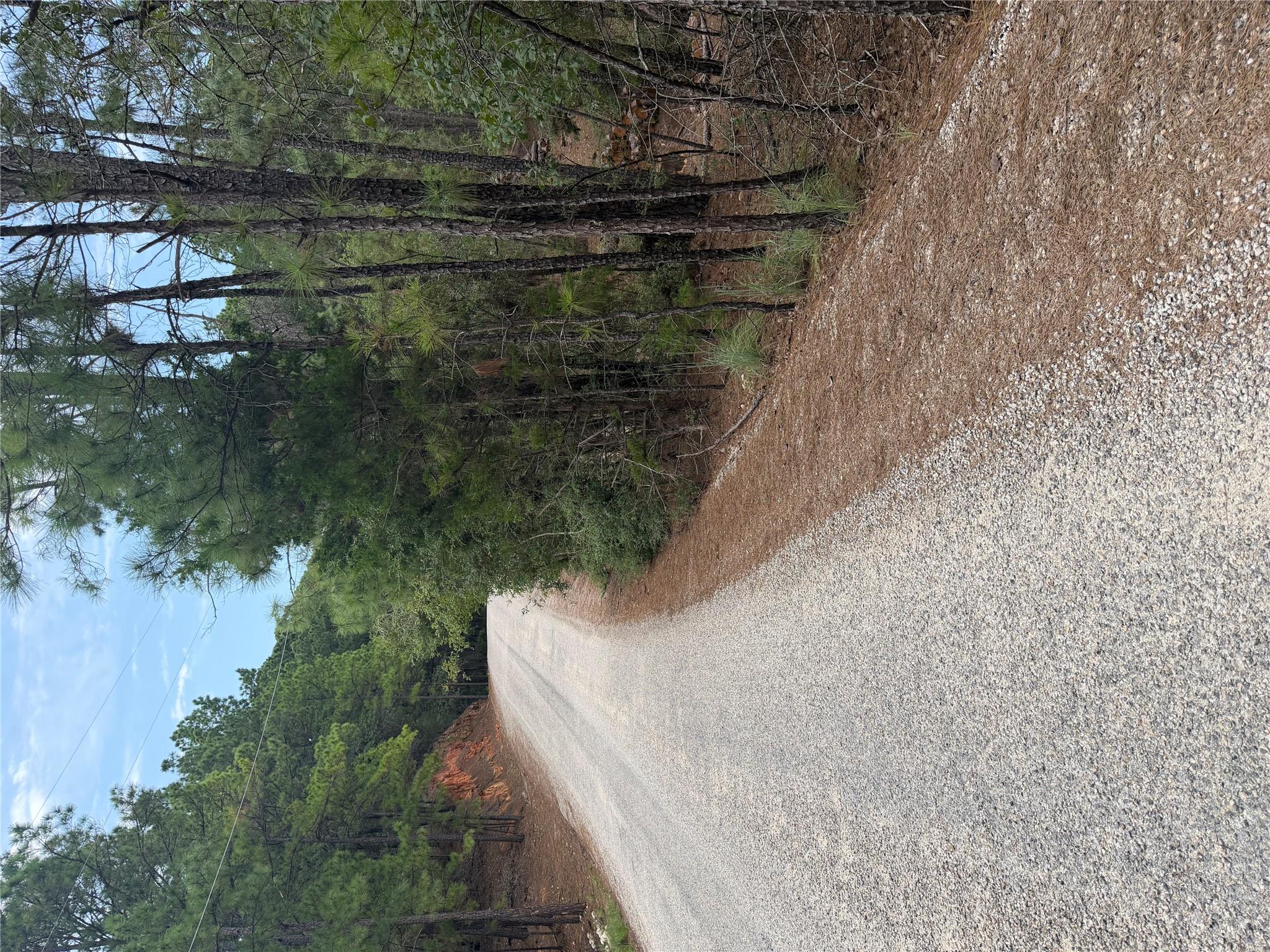 Lots 213 and 214 Hekili DR, Bastrop, TX 78602