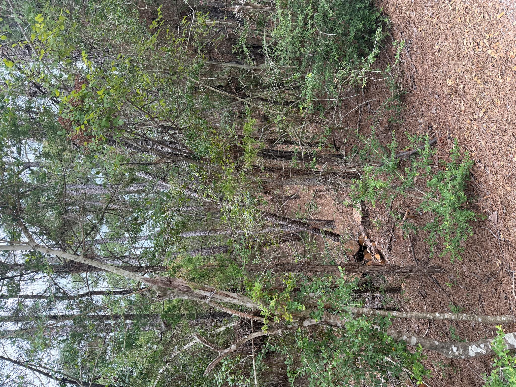 Lots 213 and 214 Hekili DR, Bastrop, TX 78602