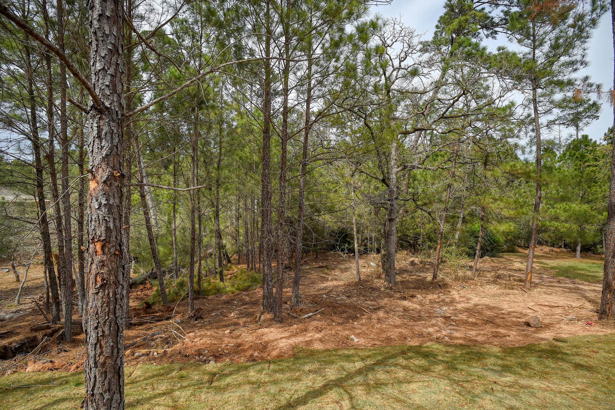 110 Mamalu, Bastrop, TX 78602