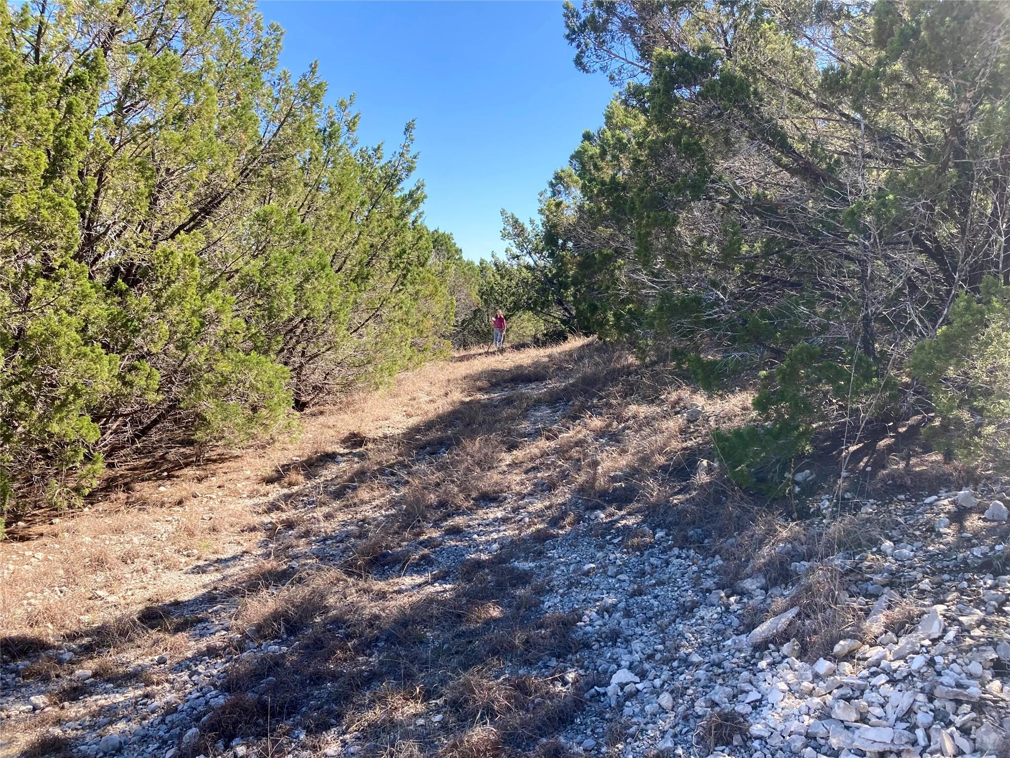 2428 Whitewater DR, Bertram, TX 78605