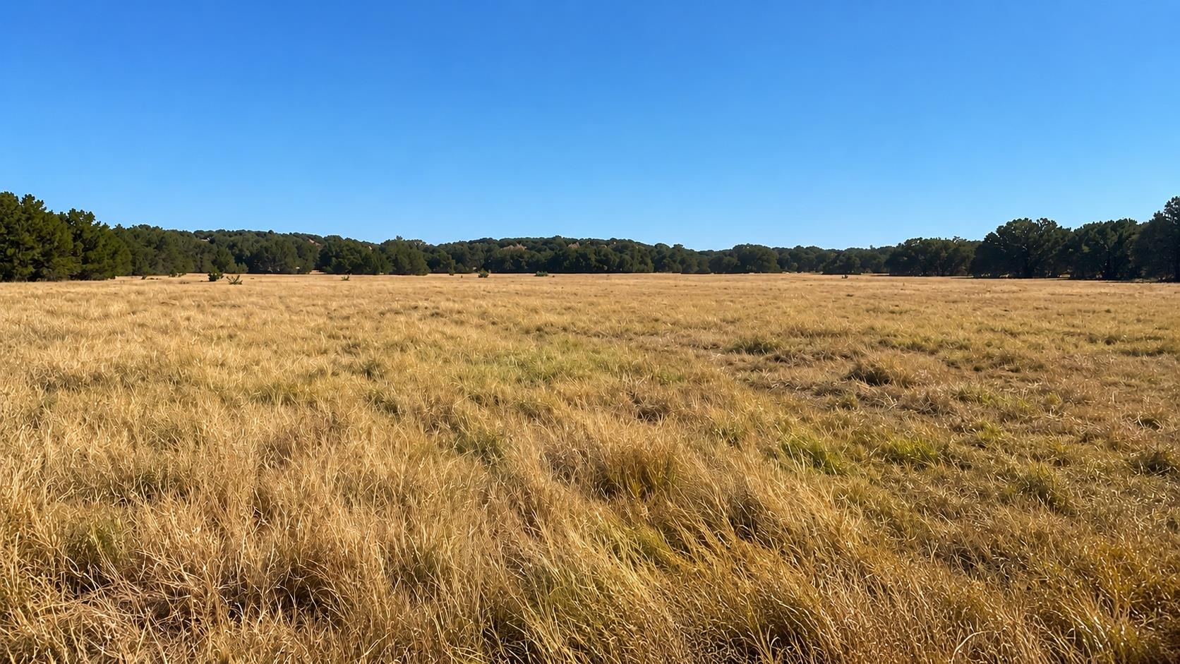 0 County Road 2659, Lometa, TX 76853