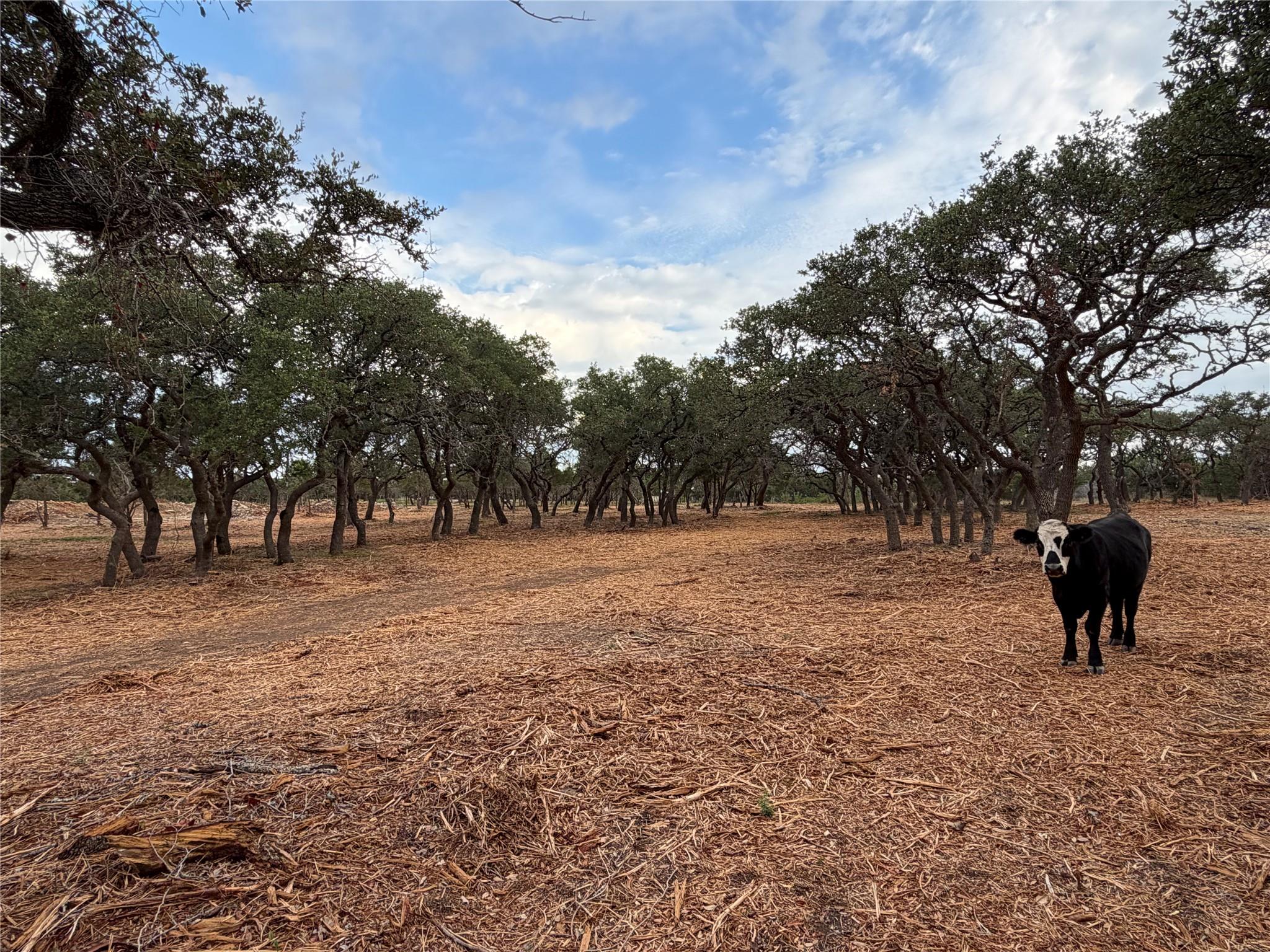 7257 Cr 252, Bertram, TX 78605