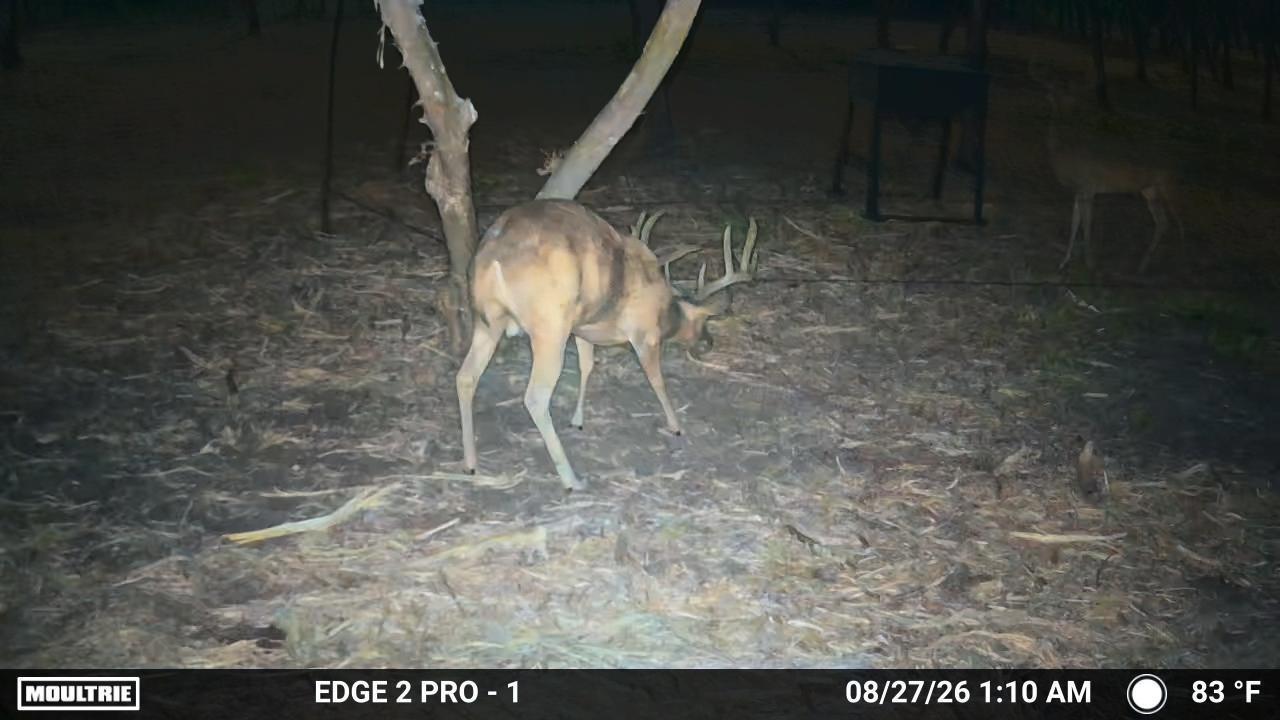 7257 Cr 252, Bertram, TX 78605
