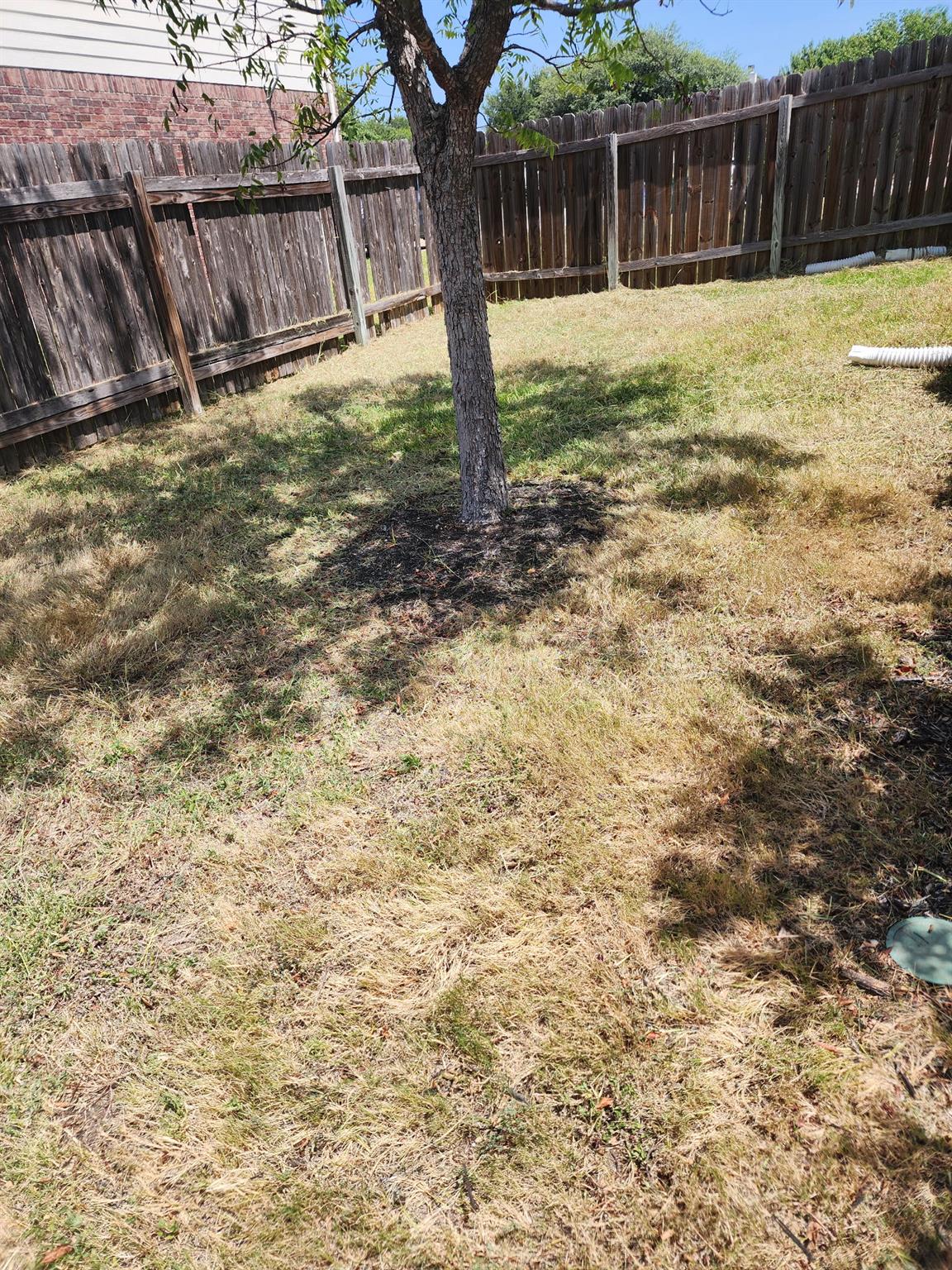 1107 Fox Sparrow CV, Pflugerville, TX 78660