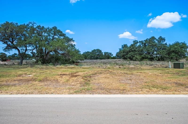 252 Berrywood LN, New Braunfels, TX 78132