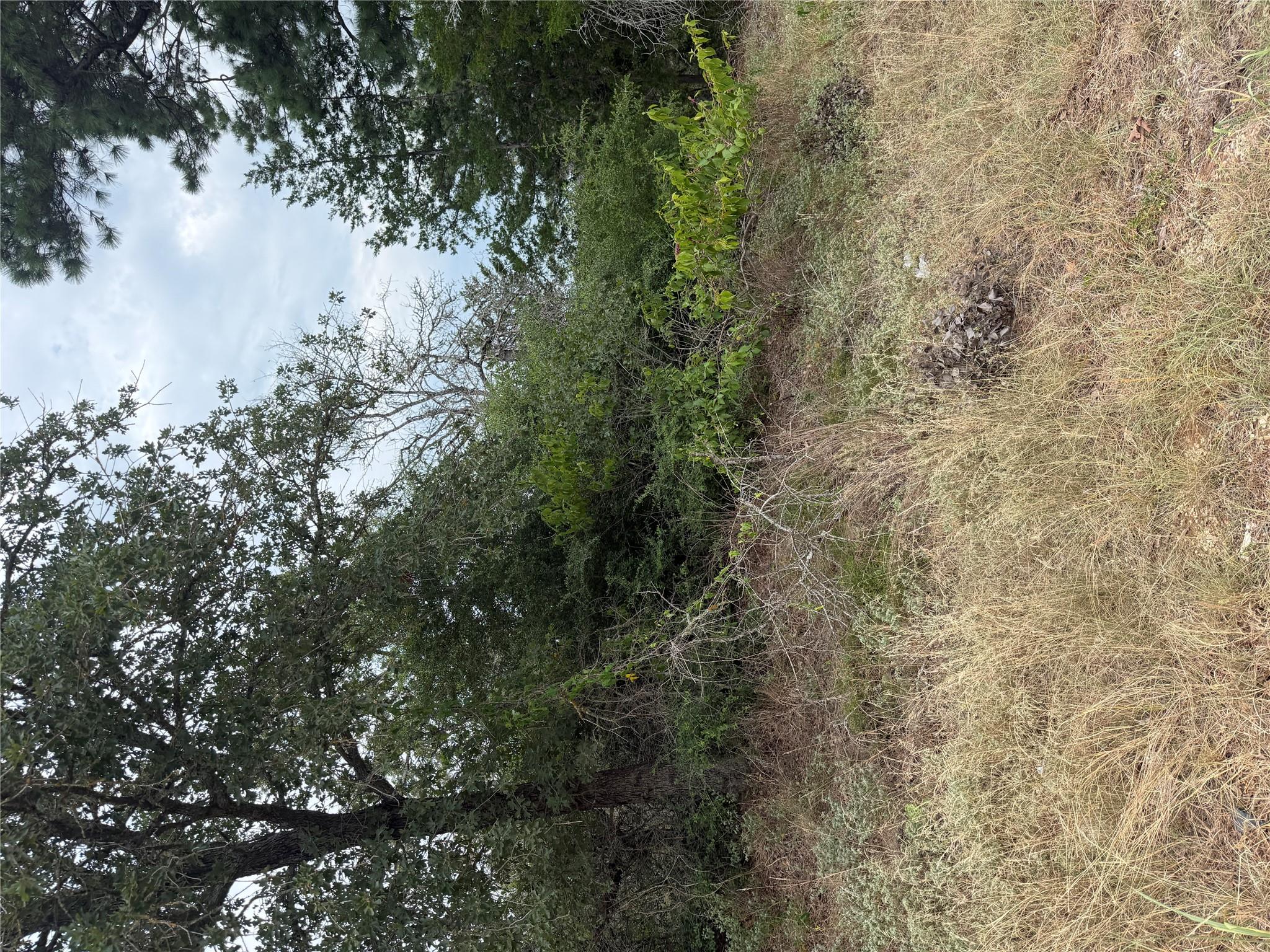 Lot 236 Kaelupulu DR, Bastrop, TX 78602