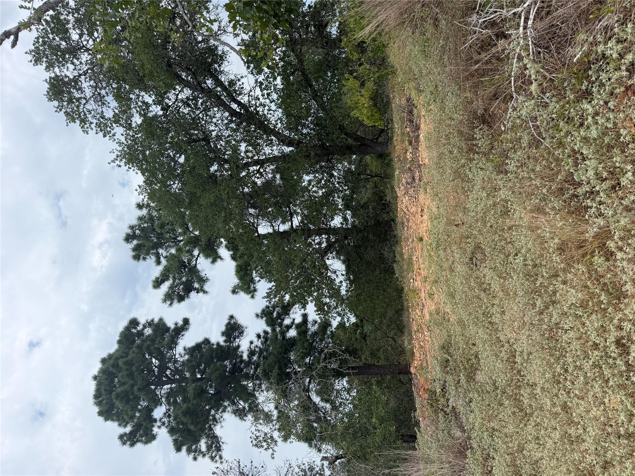 Lot 237 Kaelupulu DR, Bastrop, TX 78602