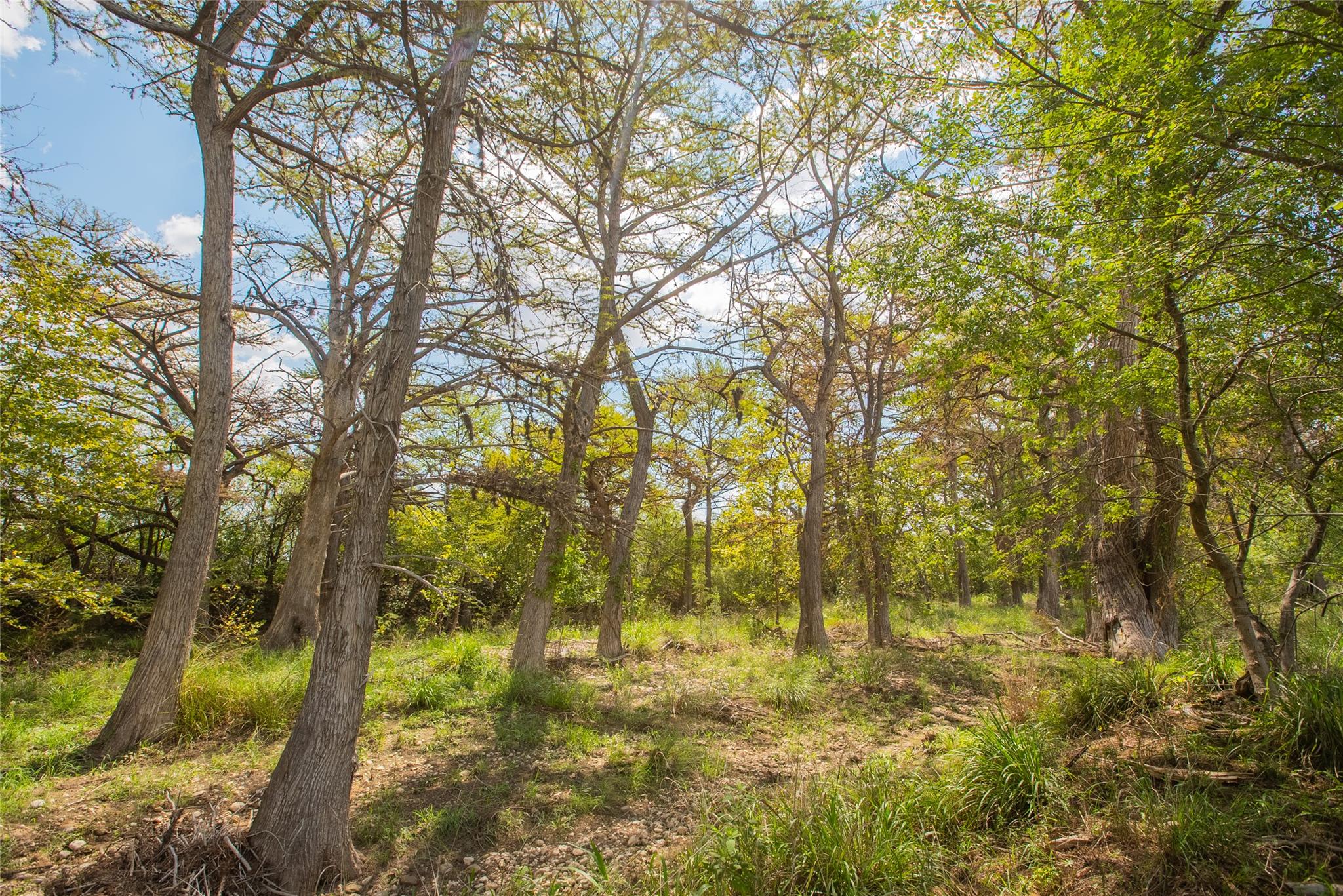 401 Bow Wood DR, Utopia, TX 78885