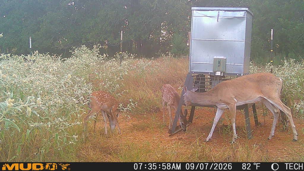 155 Frenzel Cut Off, Paige, TX 78659