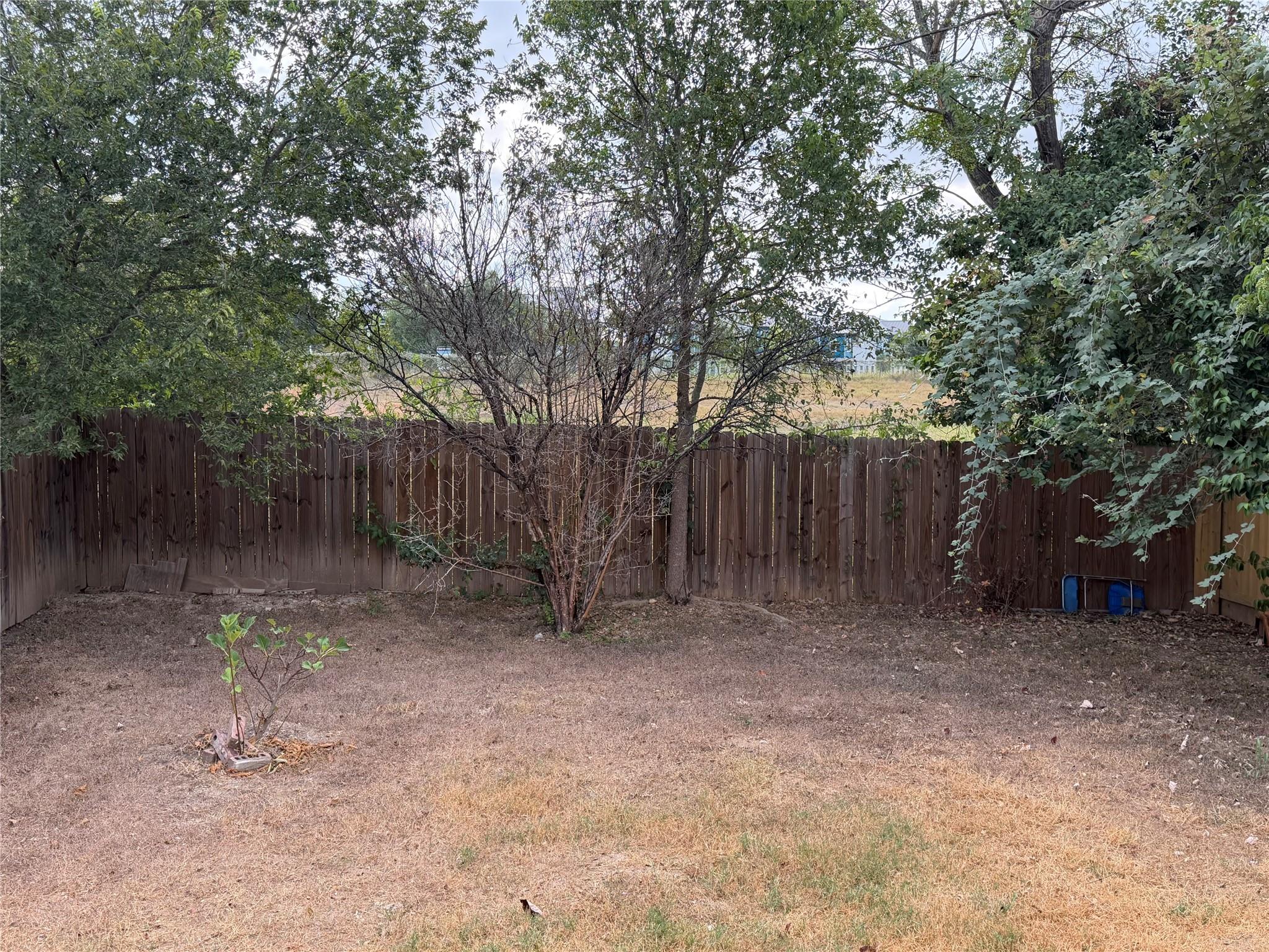 7011 Thannas Way, Austin, TX 78744